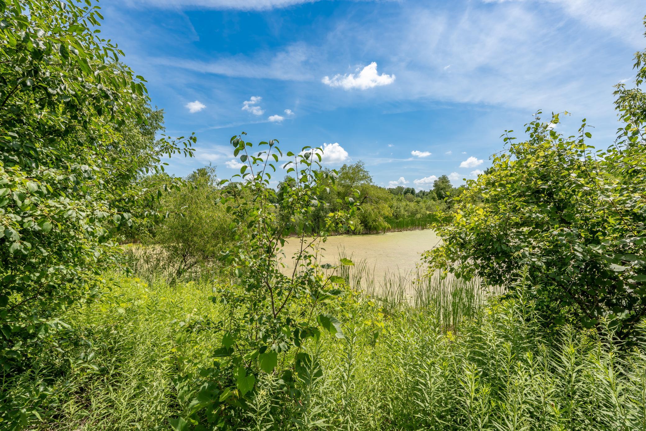 View of Residential at 734 7th Street, Montrose MN 55363, Montrose (45 of 46) - Mike Wilen | Minnesota Team Real Estate