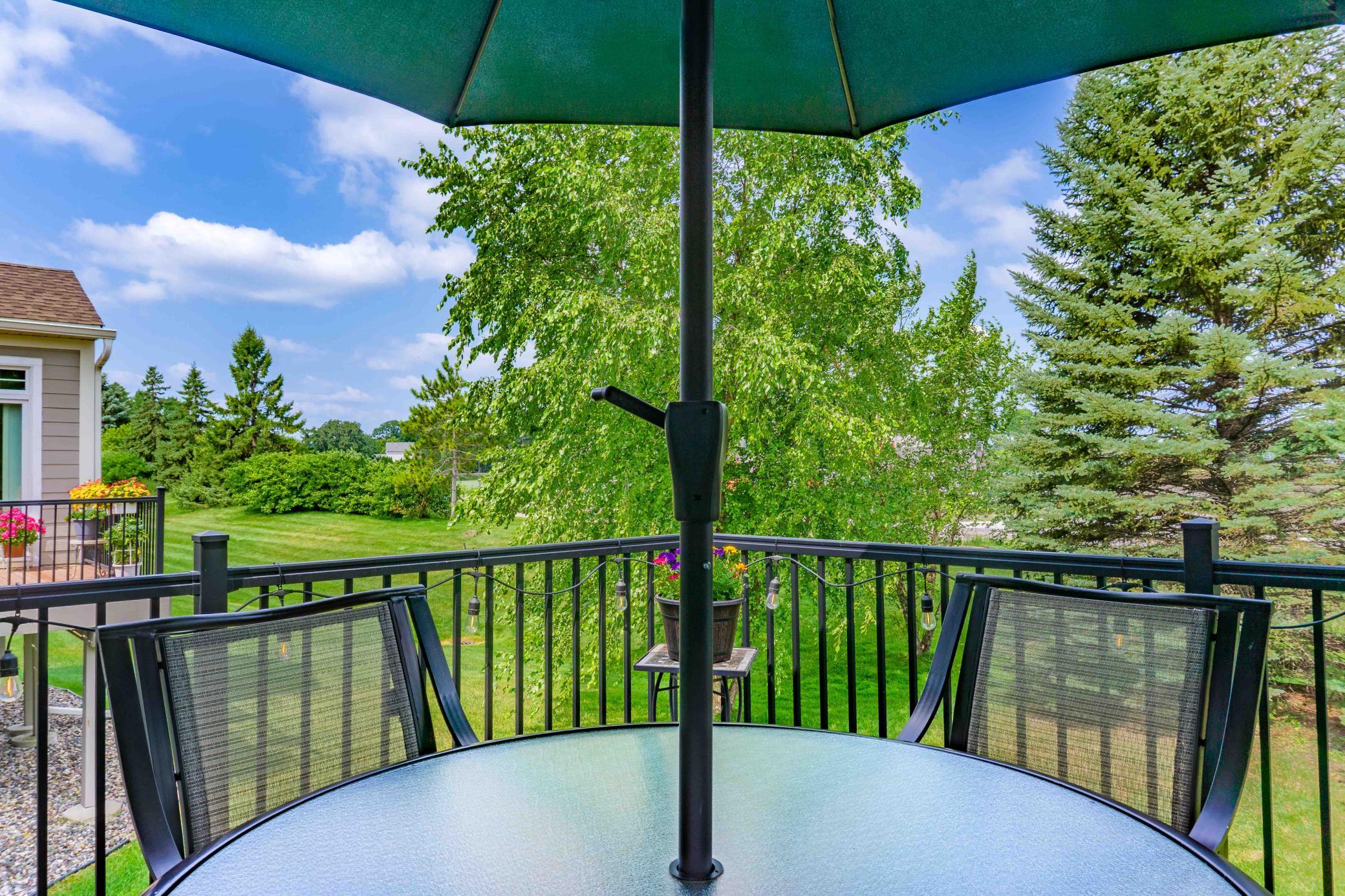 View of Residential at 988 Daylily Drive, Victoria MN 55386, Victoria (11 of 61) - Mike Wilen | Minnesota Team Real Estate