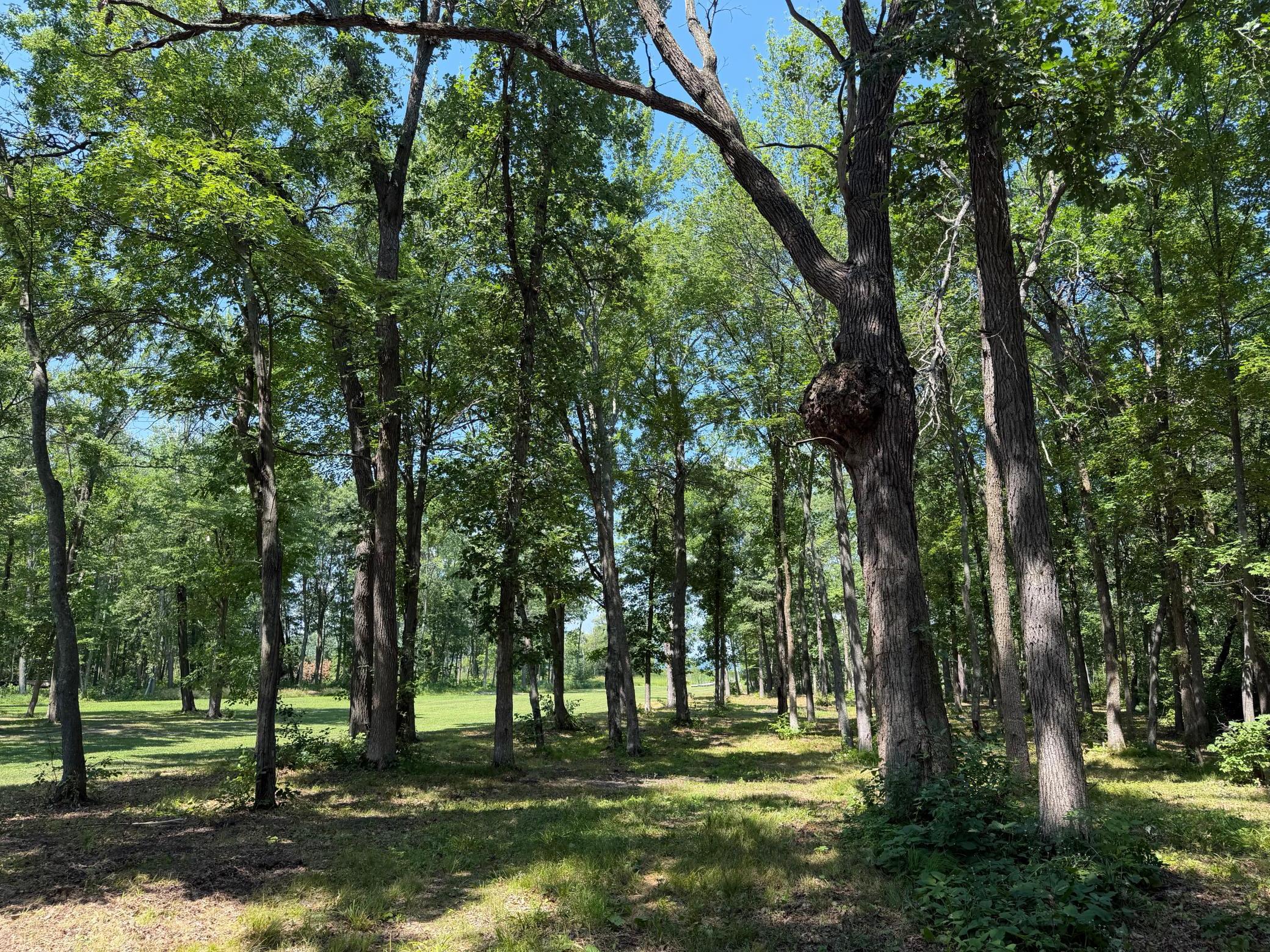 View of Residential at 24015 Fork Lane, Merrifield MN 56465, Merrifield (46 of 52) - Mike Wilen | Minnesota Team Real Estate