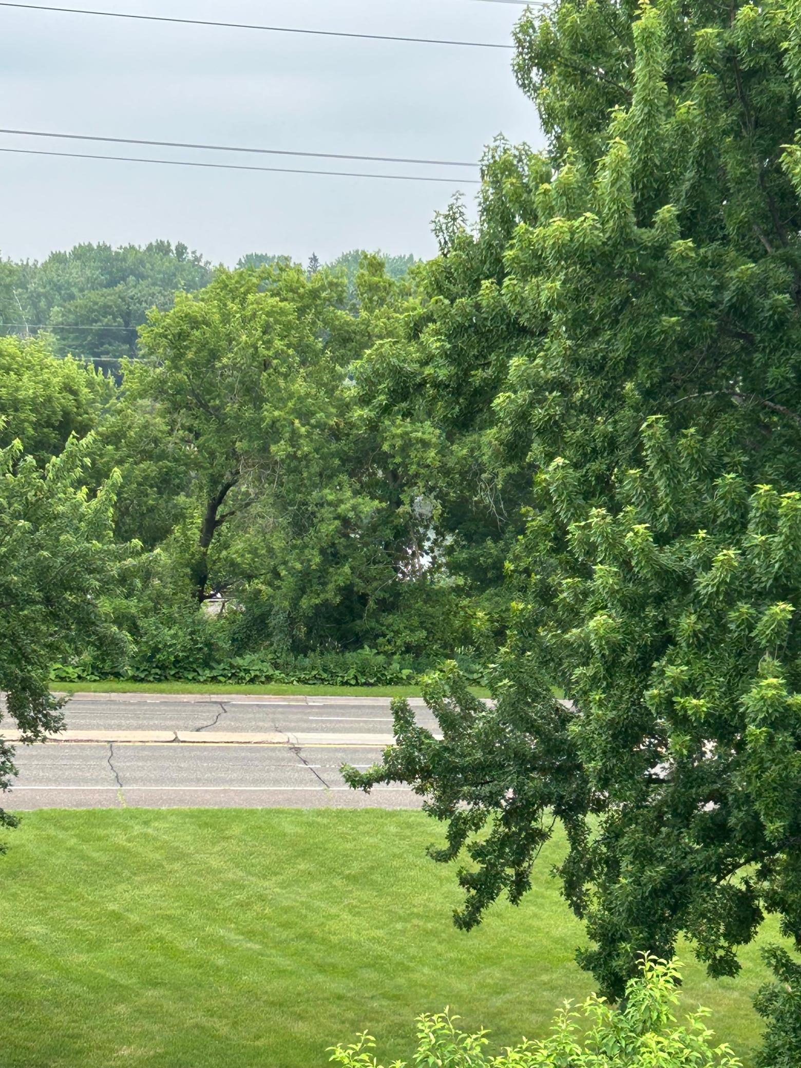 View of Residential at 2680 Oxford Street #140, Roseville MN 55113, Roseville (15 of 31) - Mike Wilen | Minnesota Team Real Estate