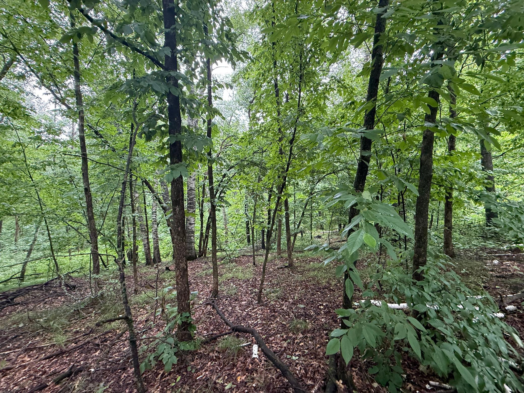View of Land at TBD Hardy Lake Road, Baxter MN 56425, Baxter (4 of 30) - Mike Wilen | Minnesota Team Real Estate