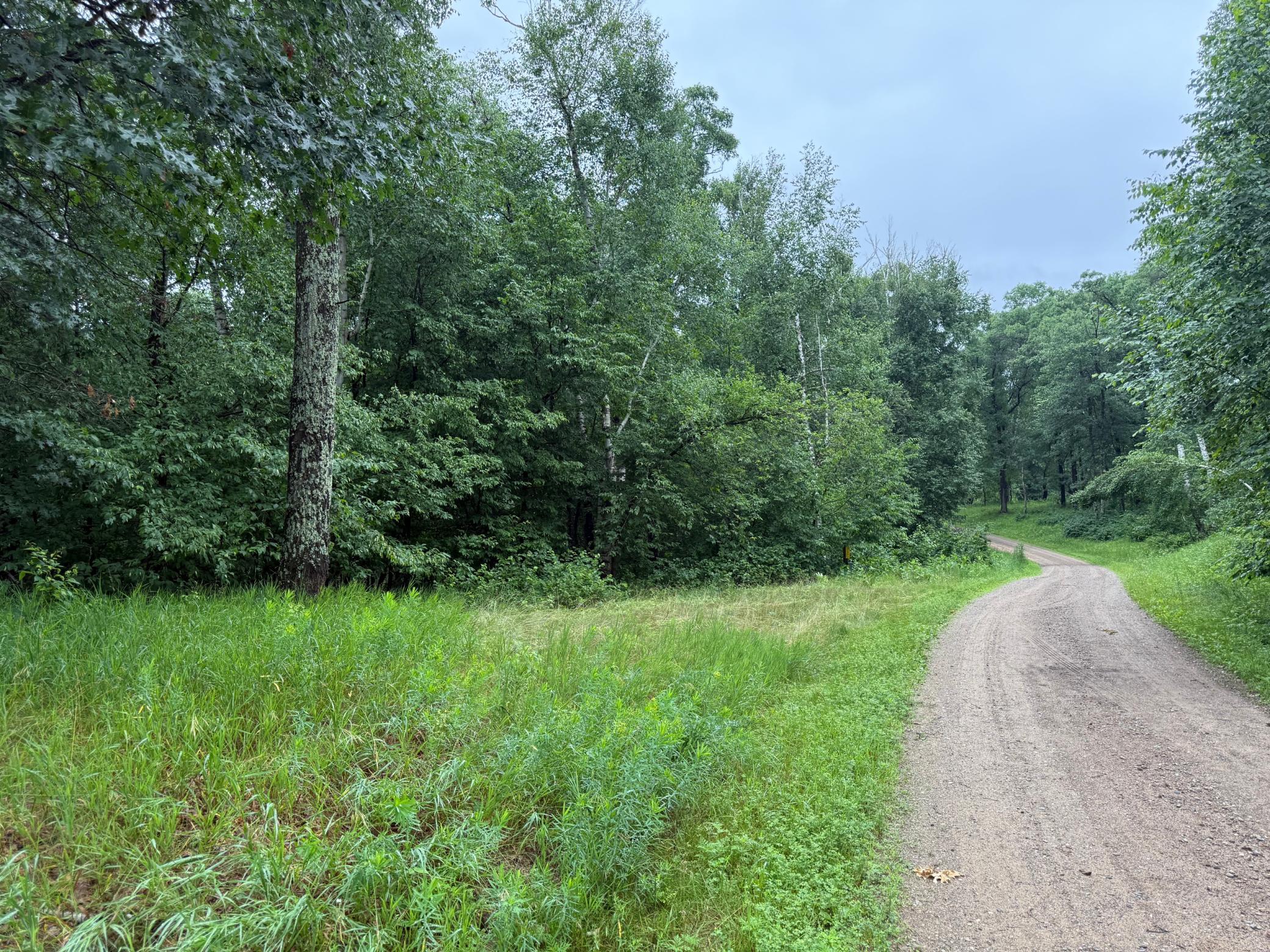 View of Land at TBD Hardy Lake Road, Baxter MN 56425, Baxter (3 of 30) - Mike Wilen | Minnesota Team Real Estate