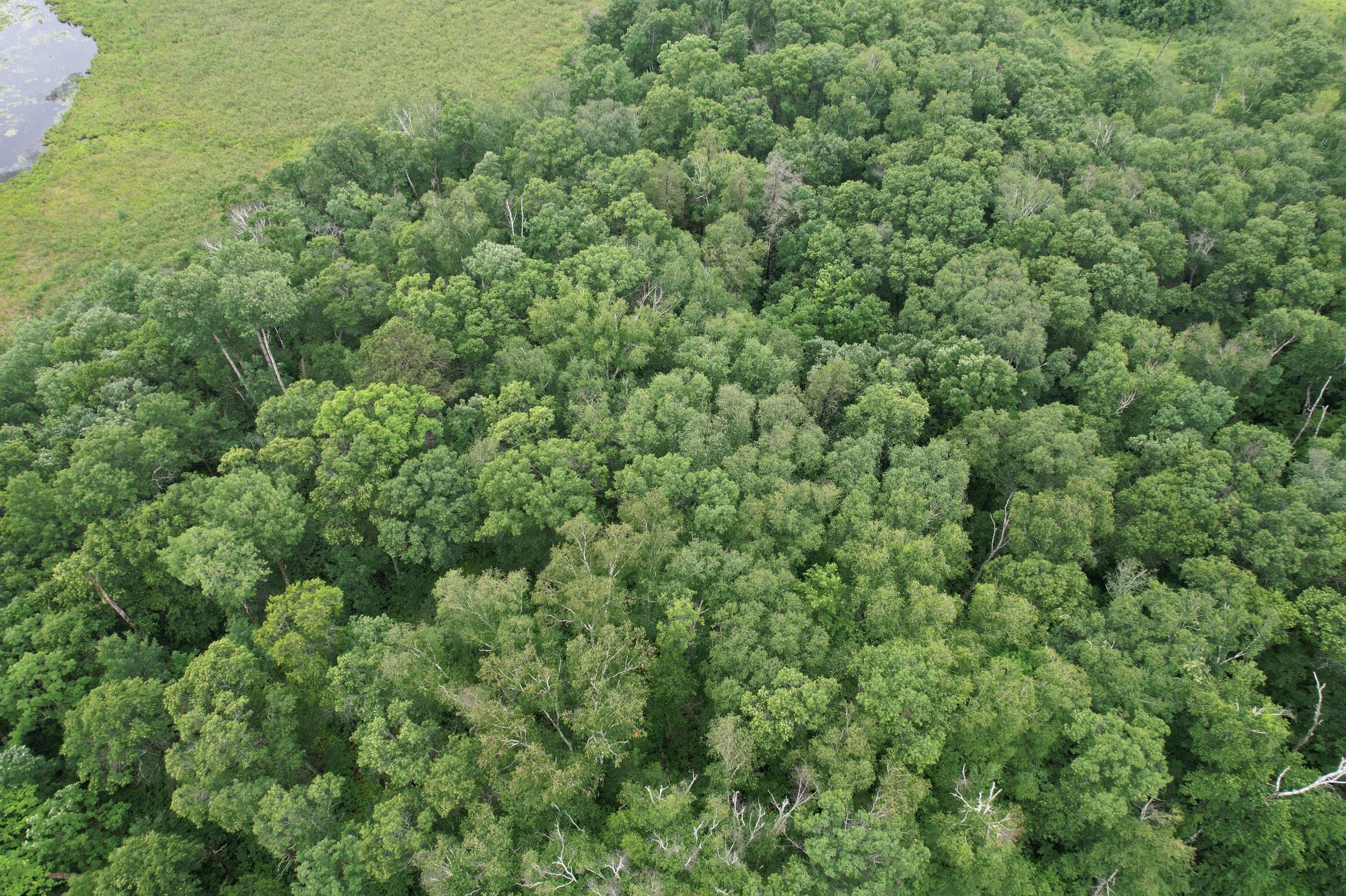View of Land at TBD Hardy Lake Road, Baxter MN 56425, Baxter (30 of 30) - Mike Wilen | Minnesota Team Real Estate