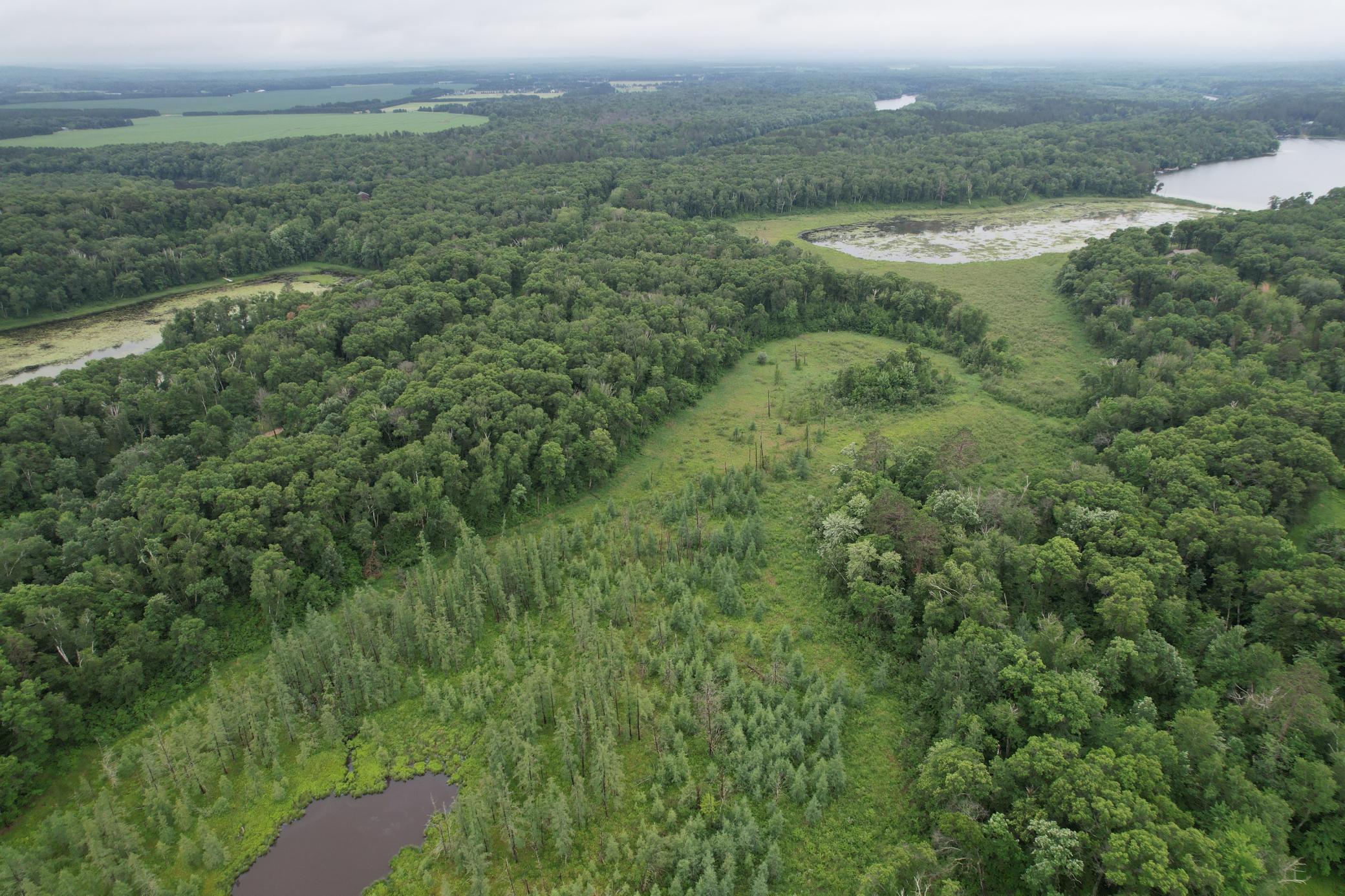 View of Land at TBD Hardy Lake Road, Baxter MN 56425, Baxter (29 of 30) - Mike Wilen | Minnesota Team Real Estate