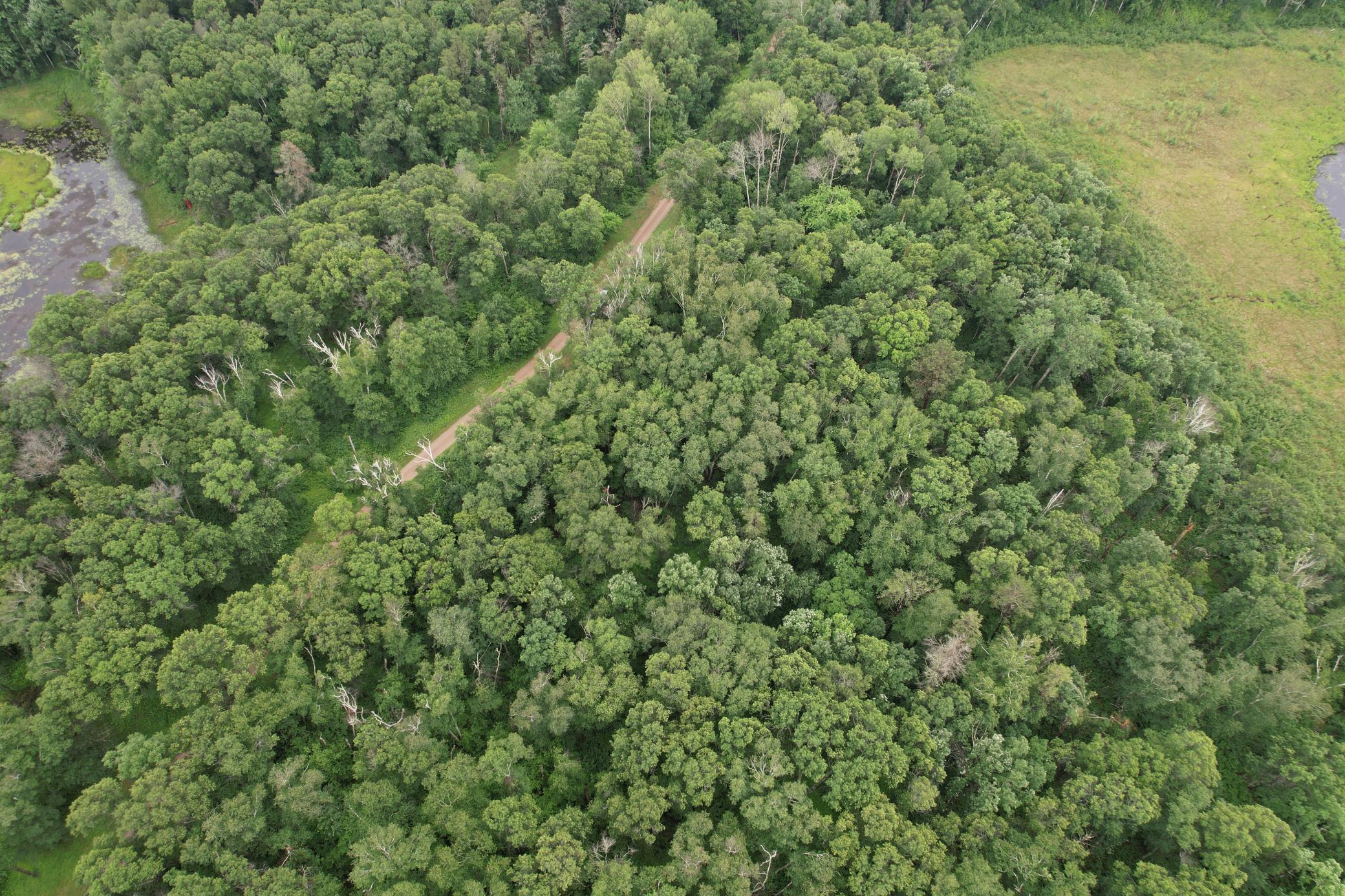 View of Land at TBD Hardy Lake Road, Baxter MN 56425, Baxter (26 of 30) - Mike Wilen | Minnesota Team Real Estate