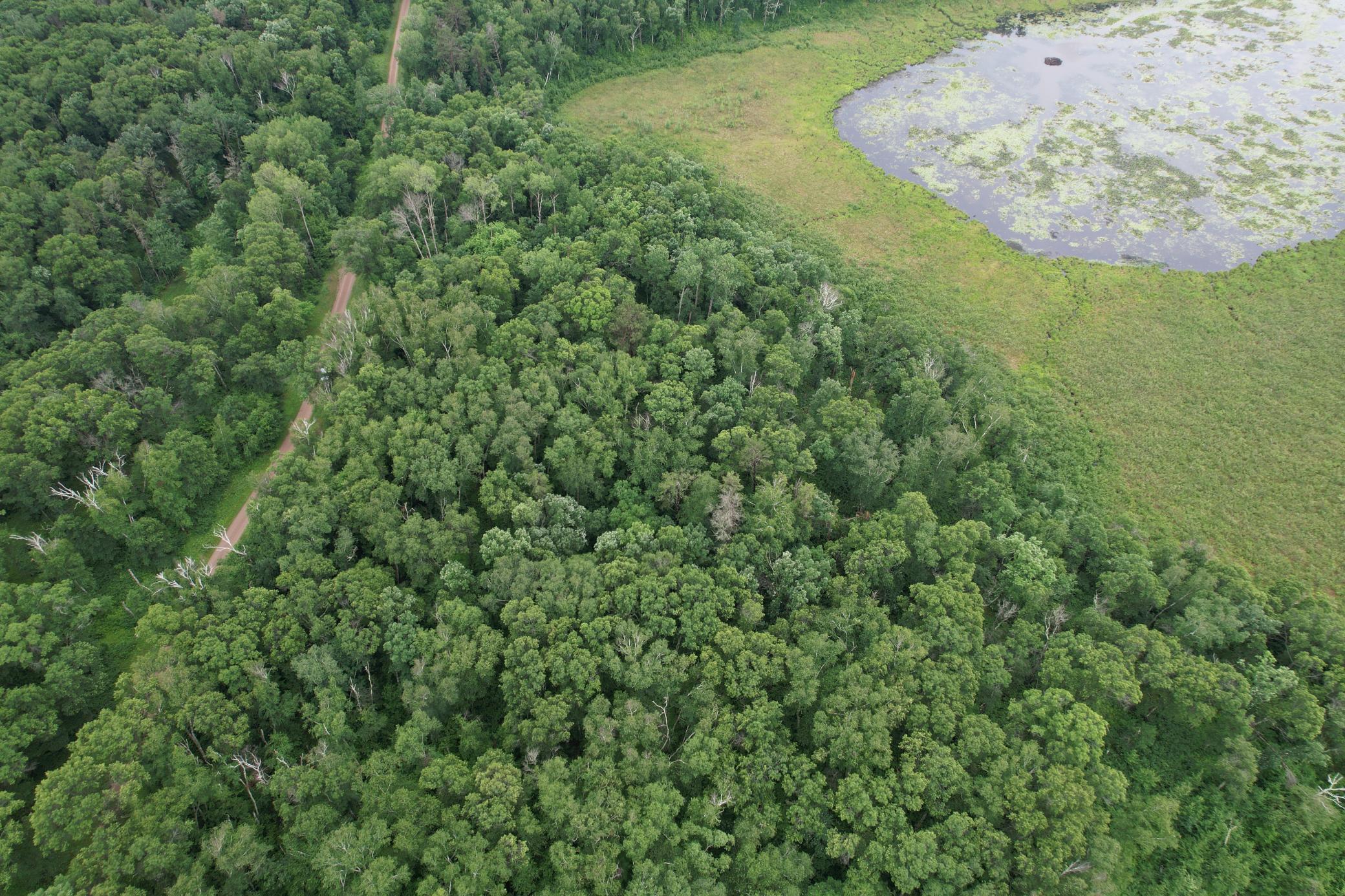 View of Land at TBD Hardy Lake Road, Baxter MN 56425, Baxter (23 of 30) - Mike Wilen | Minnesota Team Real Estate
