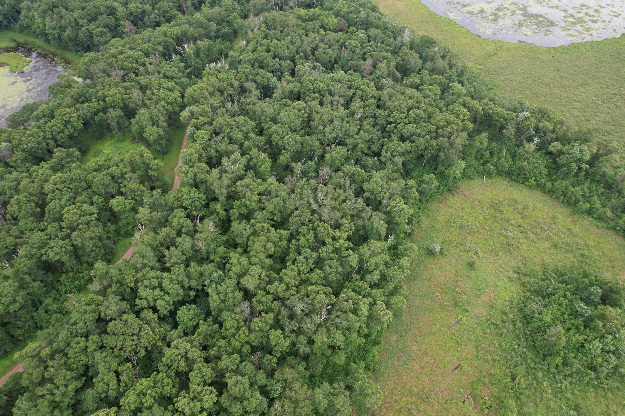 View of Land at TBD Hardy Lake Road, Baxter MN 56425, Baxter (22 of 30) - Mike Wilen | Minnesota Team Real Estate