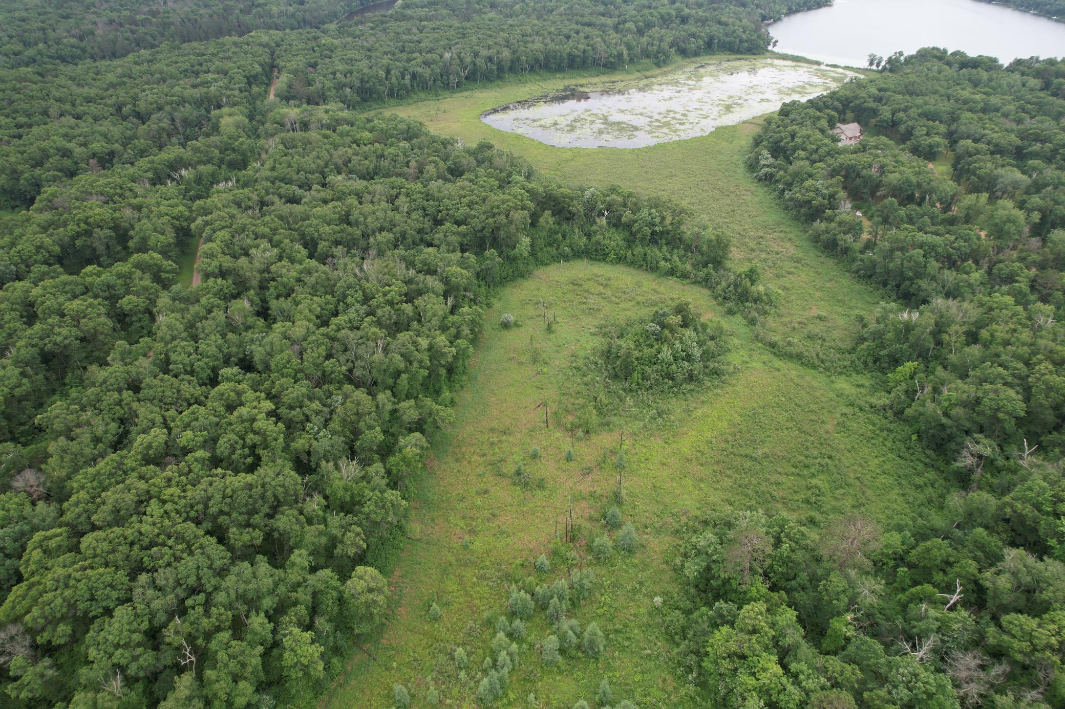 View of Land at TBD Hardy Lake Road, Baxter MN 56425, Baxter (19 of 30) - Mike Wilen | Minnesota Team Real Estate