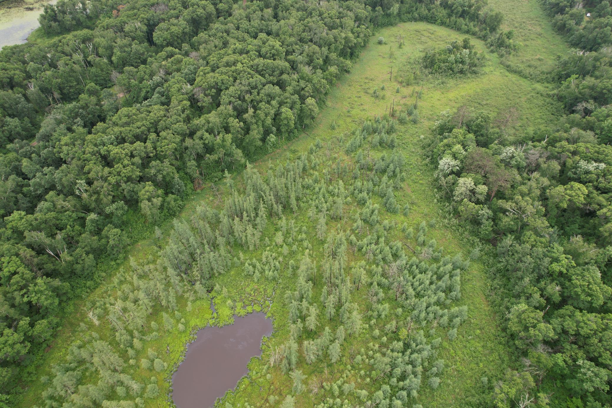 View of Land at TBD Hardy Lake Road, Baxter MN 56425, Baxter (18 of 30) - Mike Wilen | Minnesota Team Real Estate
