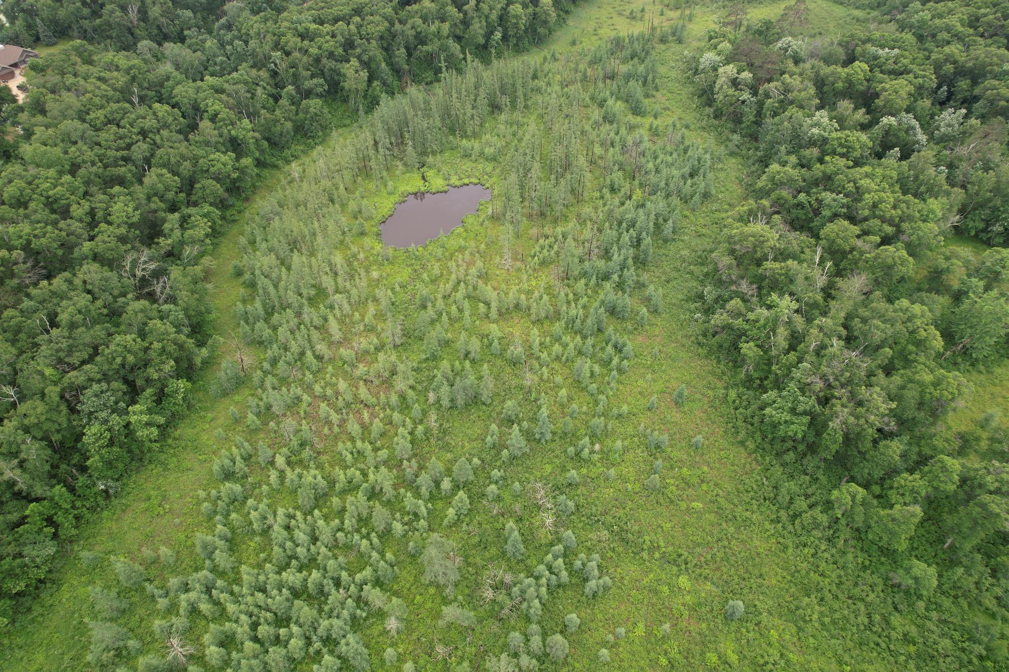 View of Land at TBD Hardy Lake Road, Baxter MN 56425, Baxter (16 of 30) - Mike Wilen | Minnesota Team Real Estate