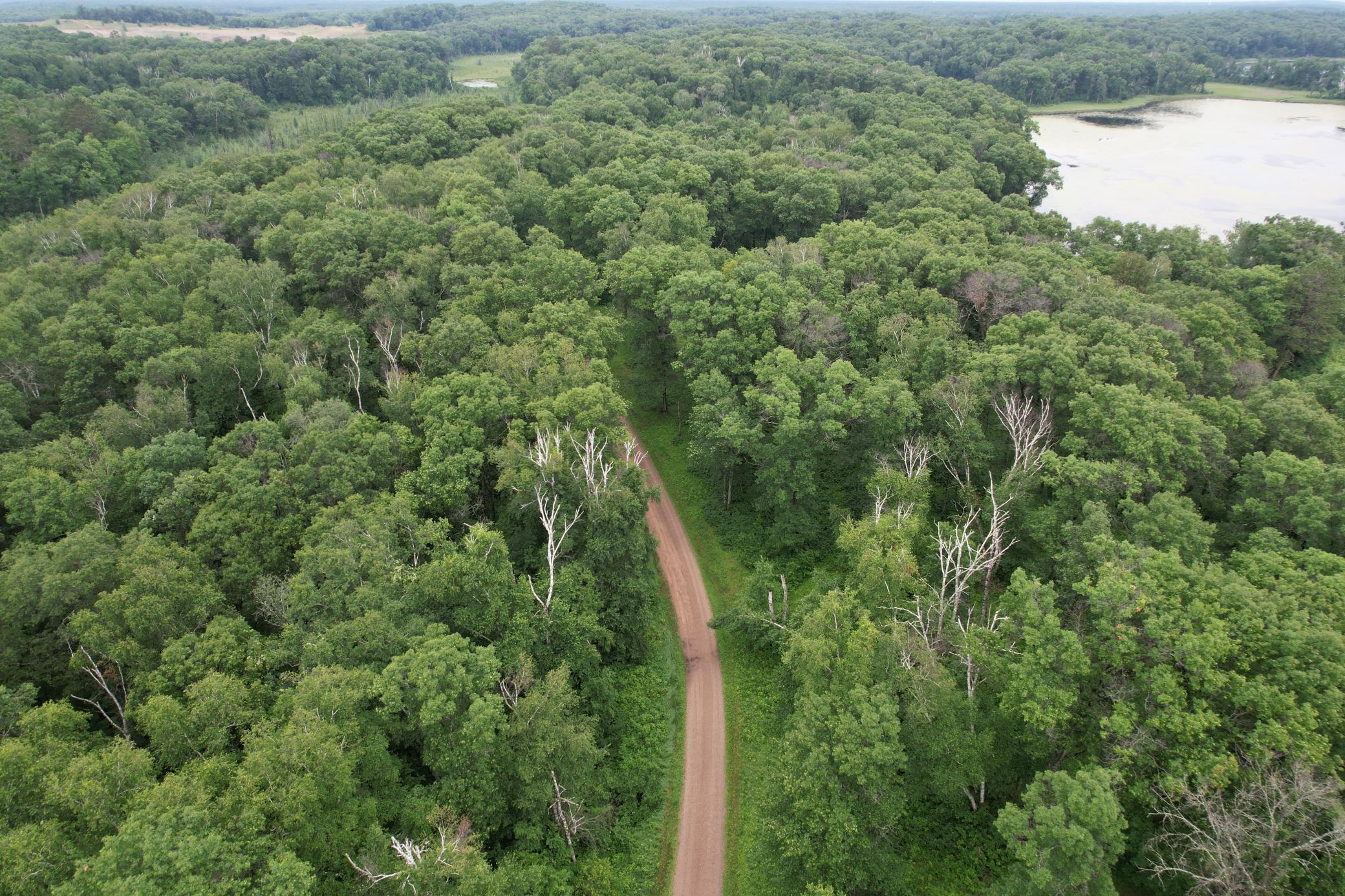 View of Land at TBD Hardy Lake Road, Baxter MN 56425, Baxter (14 of 30) - Mike Wilen | Minnesota Team Real Estate