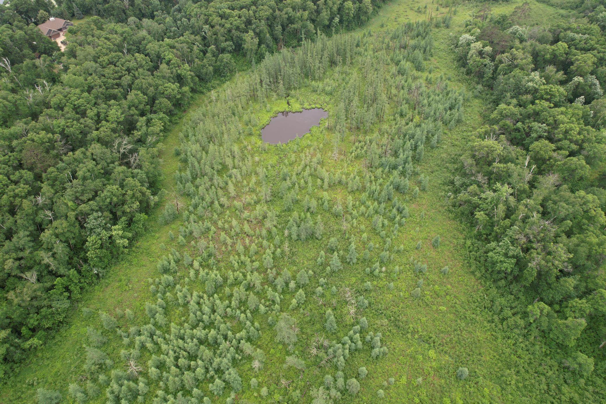 View of Land at TBD Hardy Lake Road, Baxter MN 56425, Baxter (13 of 30) - Mike Wilen | Minnesota Team Real Estate