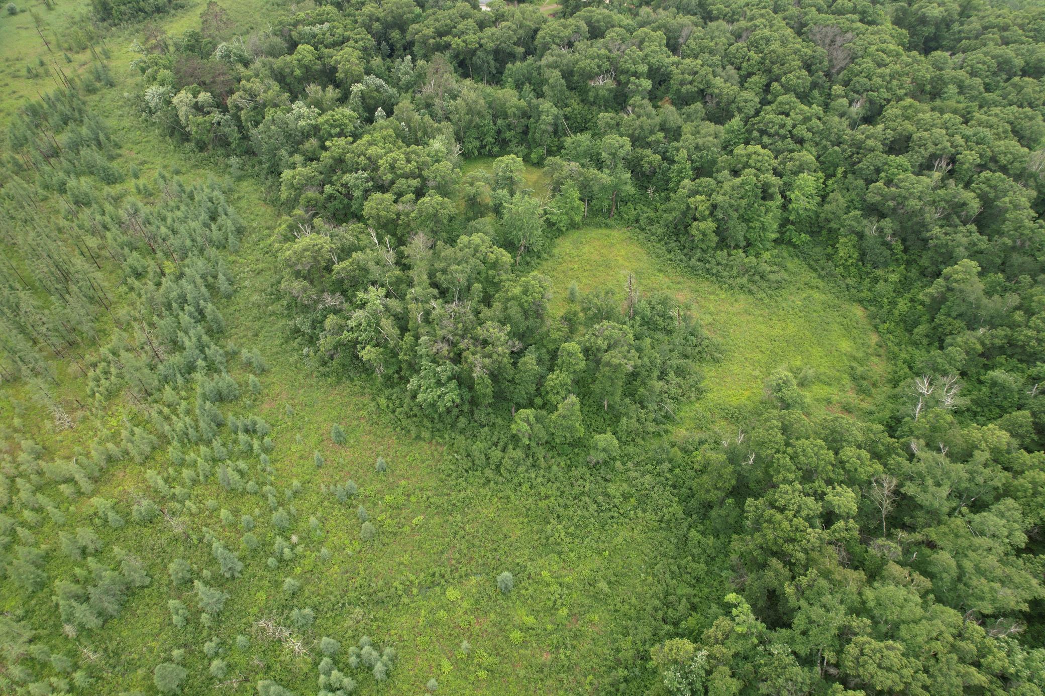 View of Land at TBD Hardy Lake Road, Baxter MN 56425, Baxter (12 of 30) - Mike Wilen | Minnesota Team Real Estate