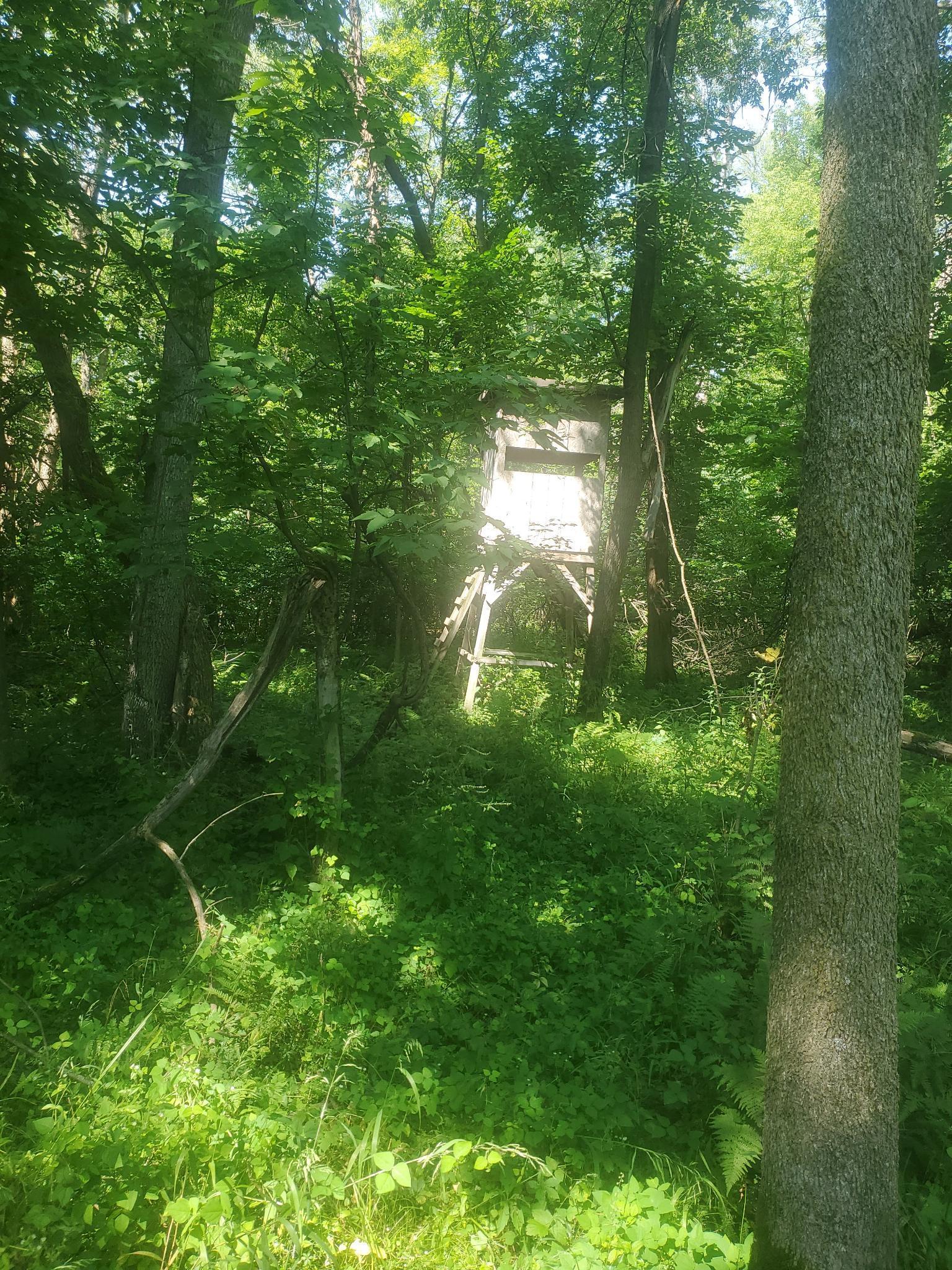 View of Residential at 37451 Jasper Street, Dalbo MN 55017, Dalbo (41 of 43) - Mike Wilen | Minnesota Team Real Estate