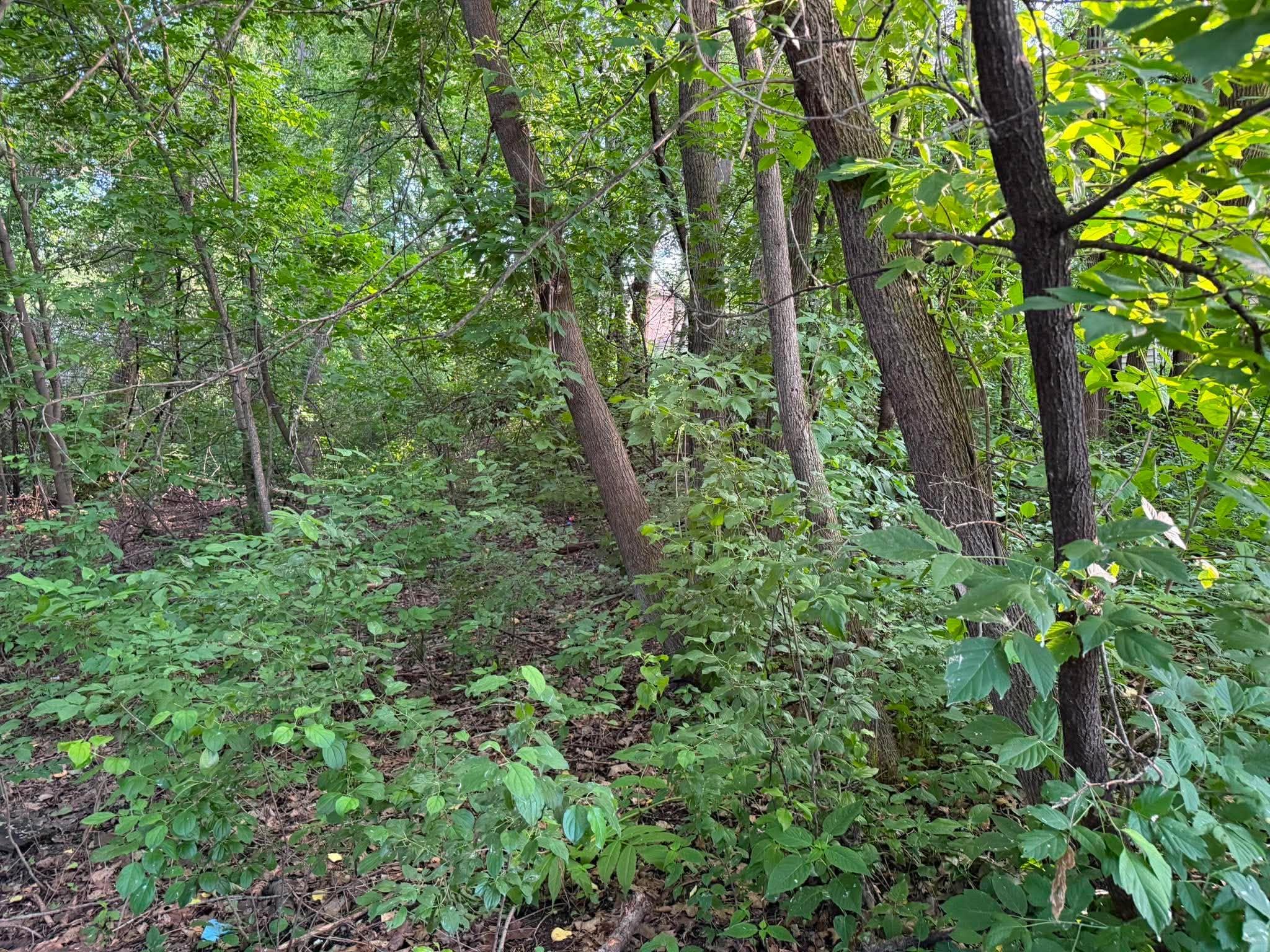 View of Land at TBD 26TH Street, Oakdale MN 55128, Oakdale (7 of 13) - Mike Wilen | Minnesota Team Real Estate