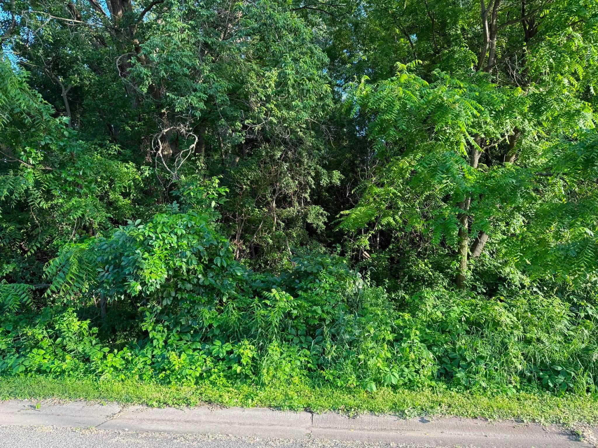View of Land at TBD 26TH Street, Oakdale MN 55128, Oakdale (5 of 13) - Mike Wilen | Minnesota Team Real Estate