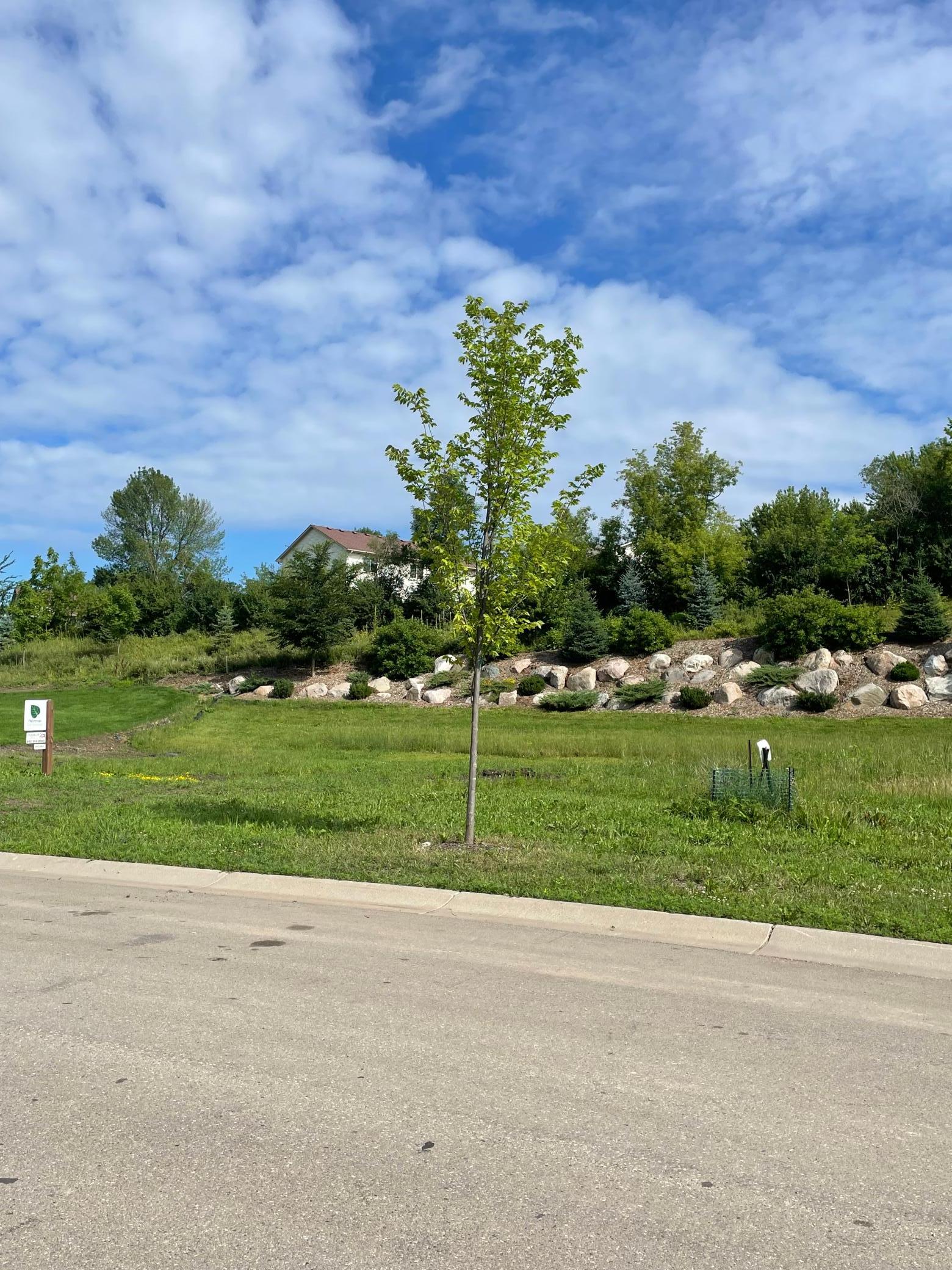 View of Land at 104 Forest Court, Waconia MN 55387, Waconia (4 of 10) - Mike Wilen | Minnesota Team Real Estate