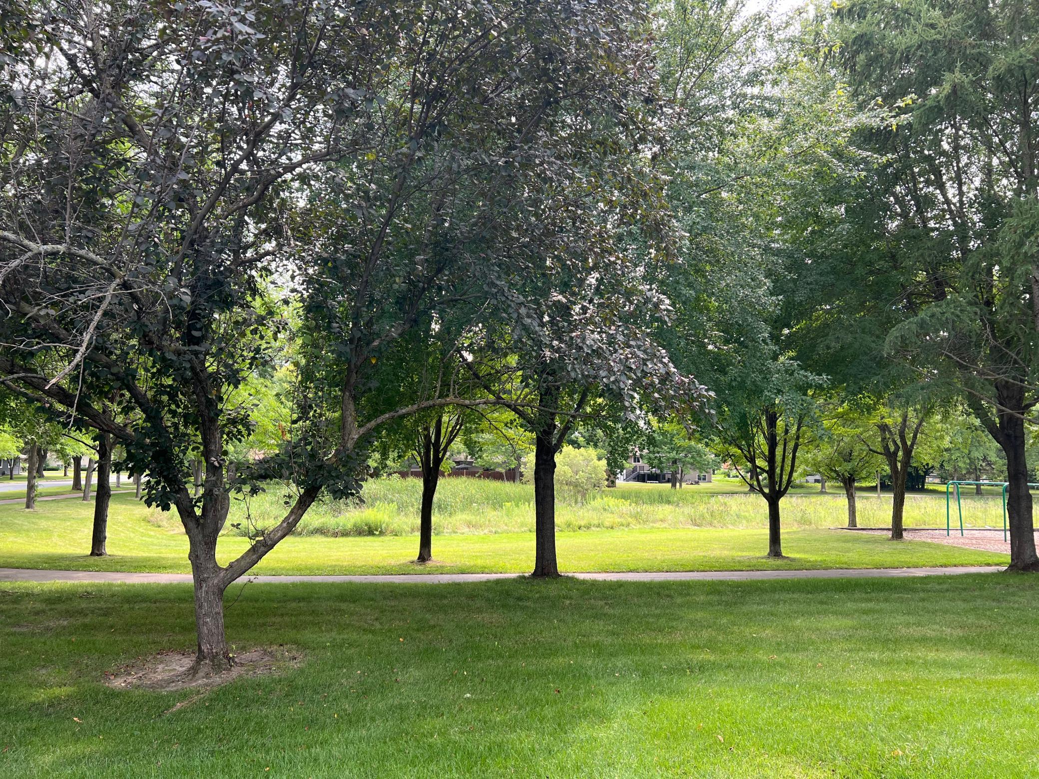 View of Residential at 609 Meldahl Lane, Northfield MN 55057, Northfield (8 of 41) - Mike Wilen | Minnesota Team Real Estate