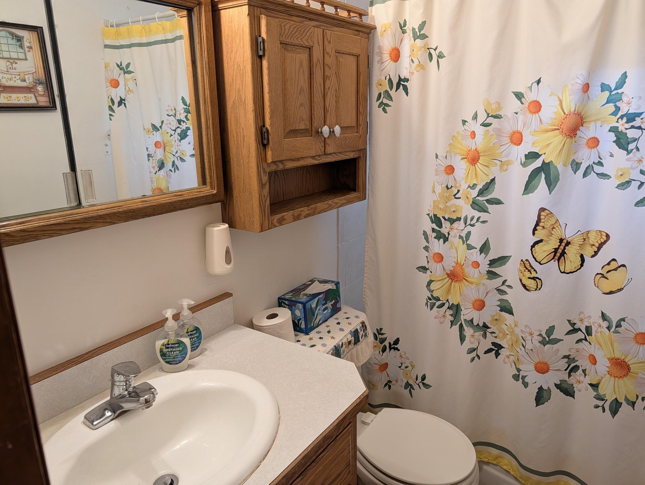 View of Residential at 160 109th Avenue, Blaine MN 55434, Blaine (10 of 63) - Mike Wilen | Minnesota Team Real Estate