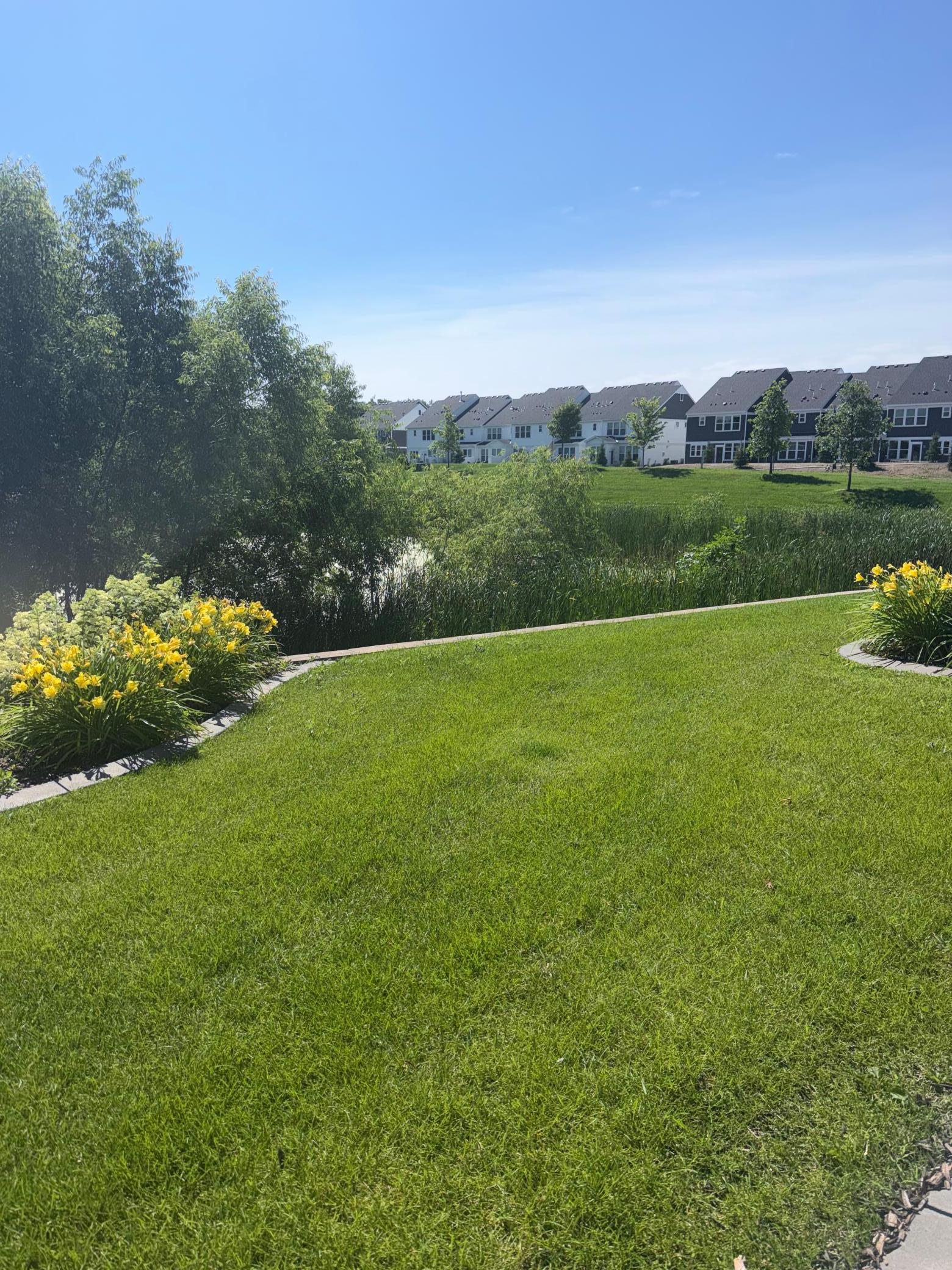 View of Residential at 12914 Brenly Way, Rogers MN 55374, Rogers (13 of 14) - Mike Wilen | Minnesota Team Real Estate