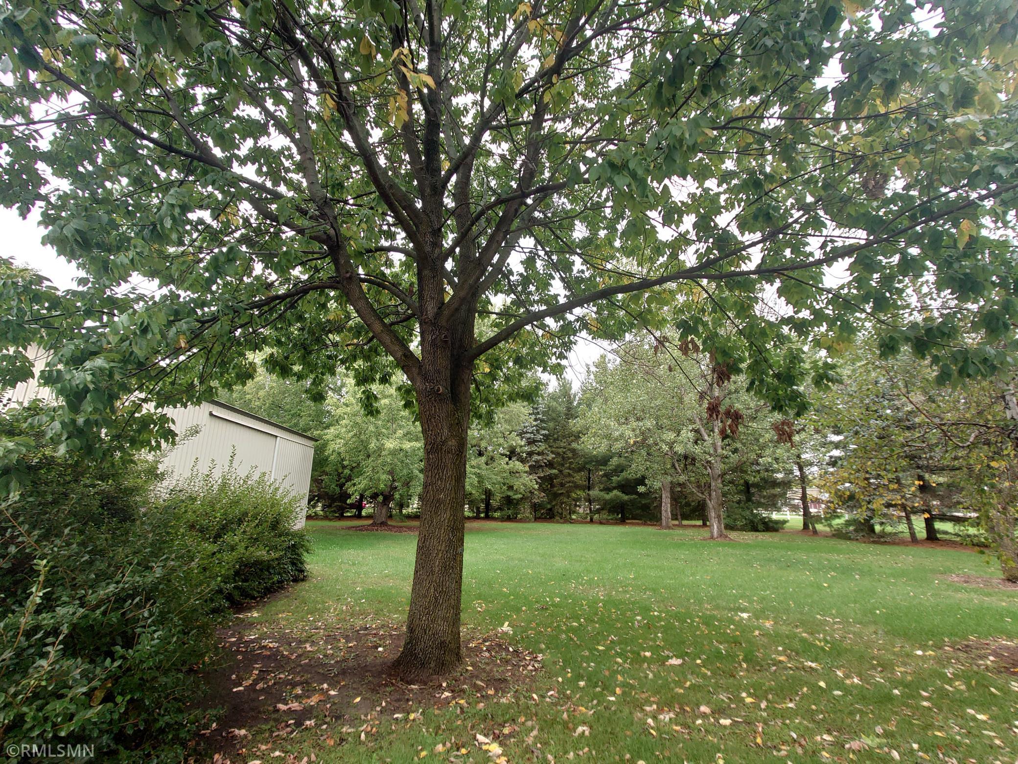 View of Residential at 12369 95th Street, Otsego MN 55330, Otsego (59 of 59) - Mike Wilen | Minnesota Team Real Estate