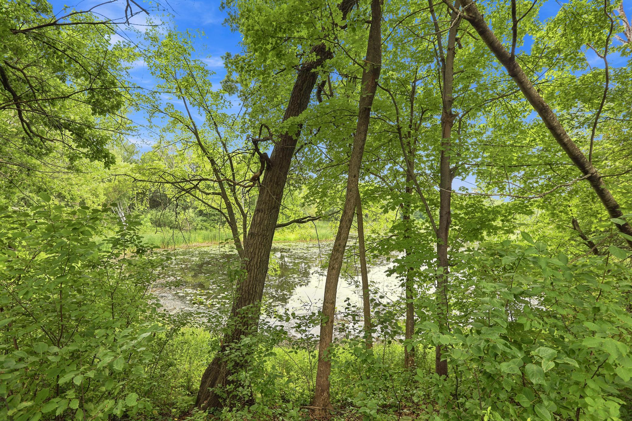 View of Residential at 22770 Penfield Avenue, Scandia MN 55073, Scandia (67 of 77) - Mike Wilen | Minnesota Team Real Estate