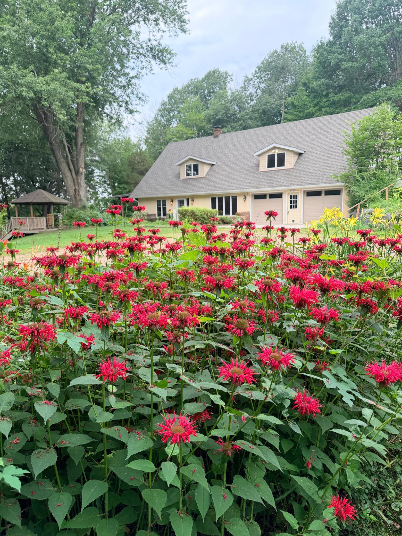 View of Residential at 22770 Penfield Avenue, Scandia MN 55073, Scandia (70 of 77) - Mike Wilen | Minnesota Team Real Estate