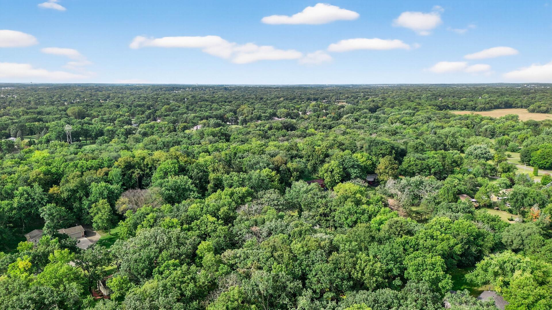 View of Residential at 15471 95th Street, Otsego MN 55330, Otsego (56 of 60) - Mike Wilen | Minnesota Team Real Estate
