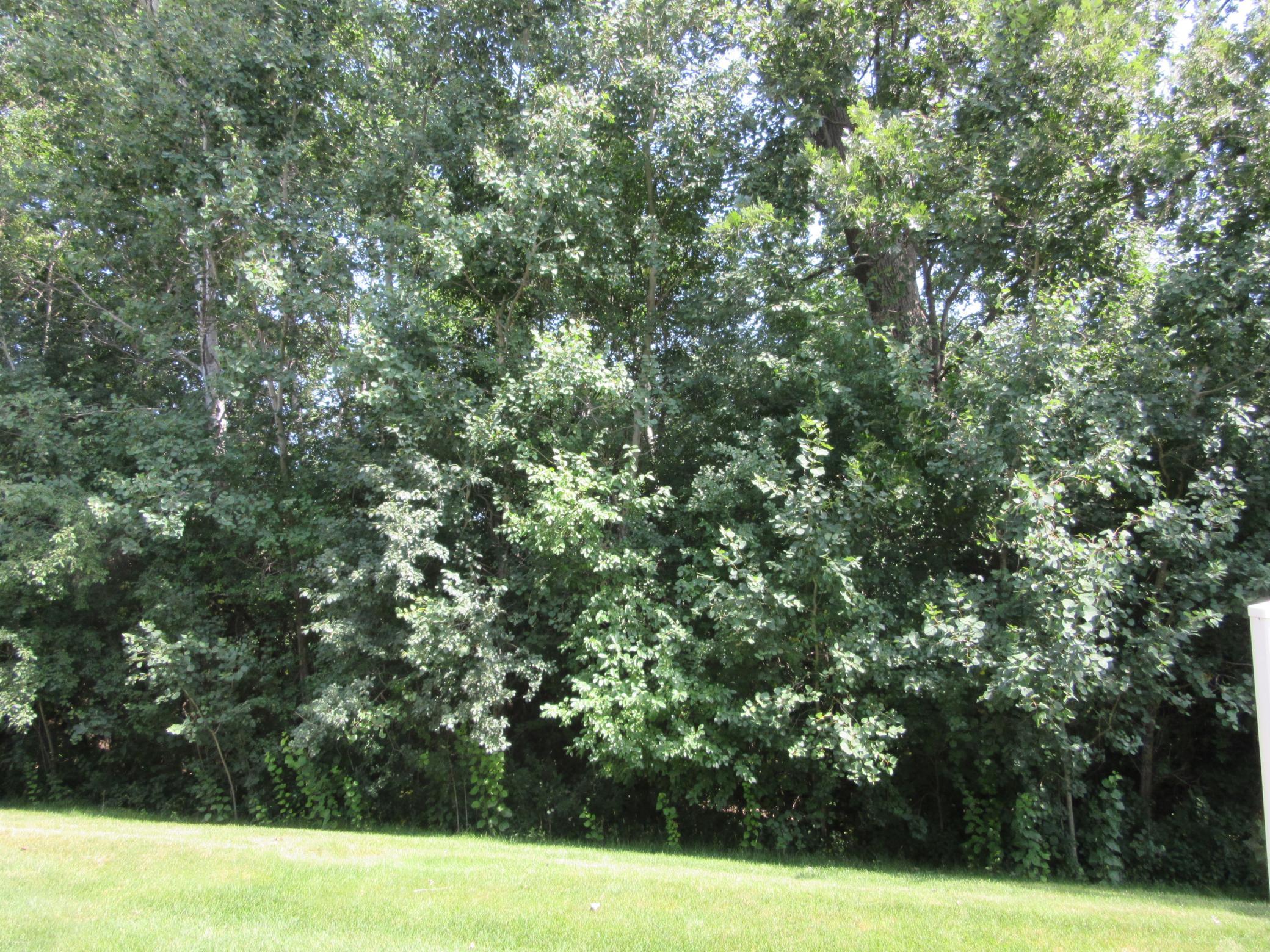 View of Residential at 5675 200th Street #703, Farmington MN 55024, Farmington (39 of 45) - Mike Wilen | Minnesota Team Real Estate