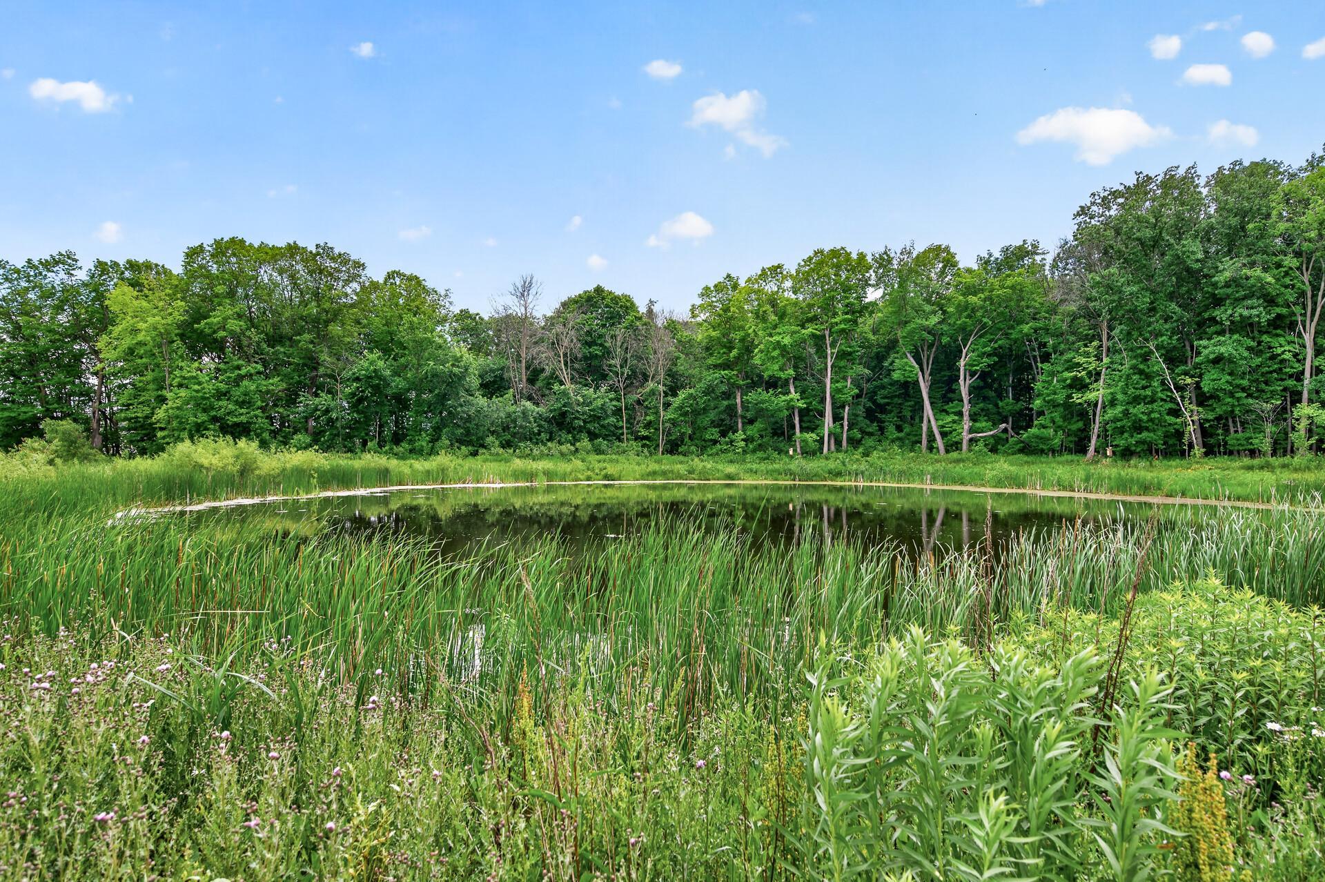 View of Residential at 14612 112th Avenue, Dayton MN 55369, Dayton (27 of 37) - Mike Wilen | Minnesota Team Real Estate