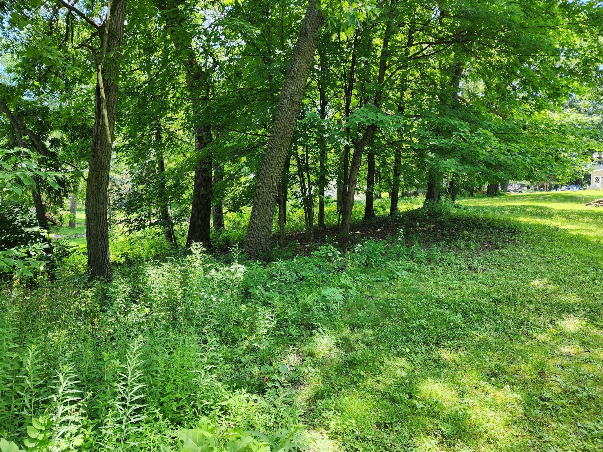 View of Land at 6381 Walnut Road, Mound MN 55364, Mound (5 of 5) - Mike Wilen | Minnesota Team Real Estate