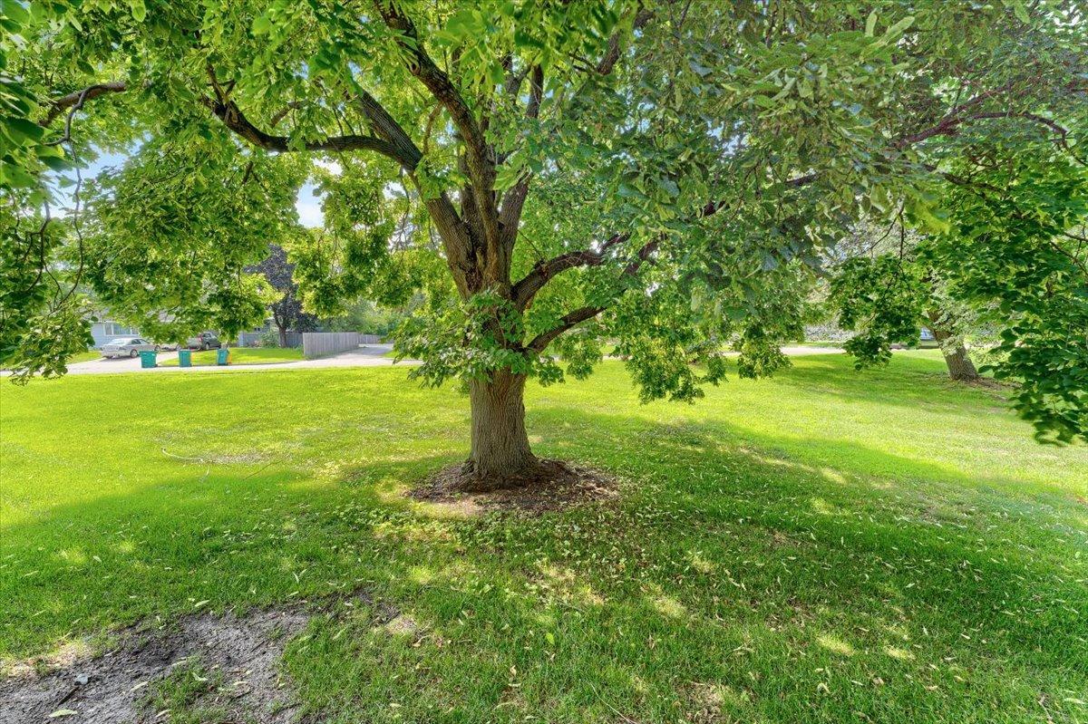 View of Residential at 1205 63rd Lane, Brooklyn Center MN 55430, Brooklyn Center (31 of 34) - Mike Wilen | Minnesota Team Real Estate