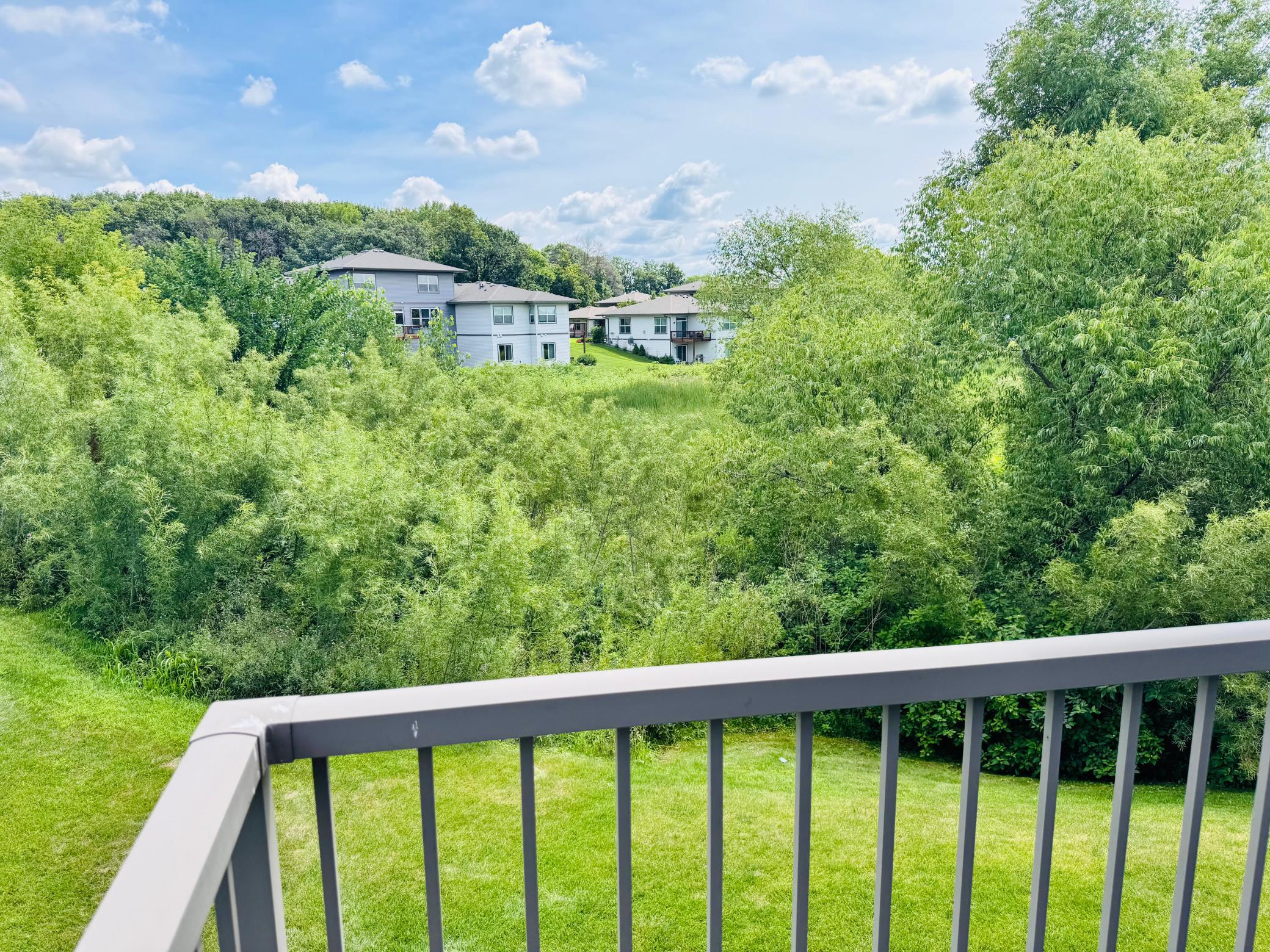 View of Residential at 1246 Vernon Drive, Carver MN 55315, Carver (15 of 15) - Mike Wilen | Minnesota Team Real Estate