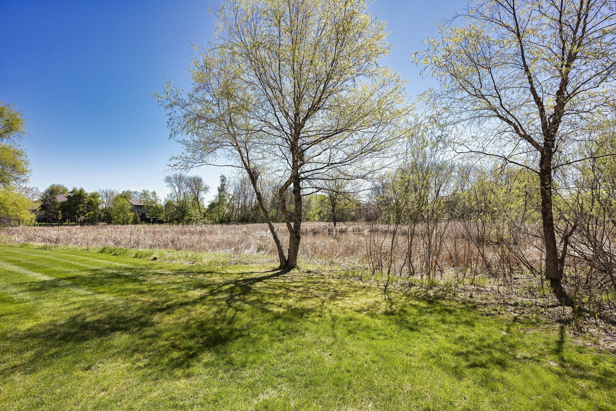 View of Residential at 8960 Comstock Lane, Maple Grove MN 55311, Maple Grove (42 of 49) - Mike Wilen | Minnesota Team Real Estate