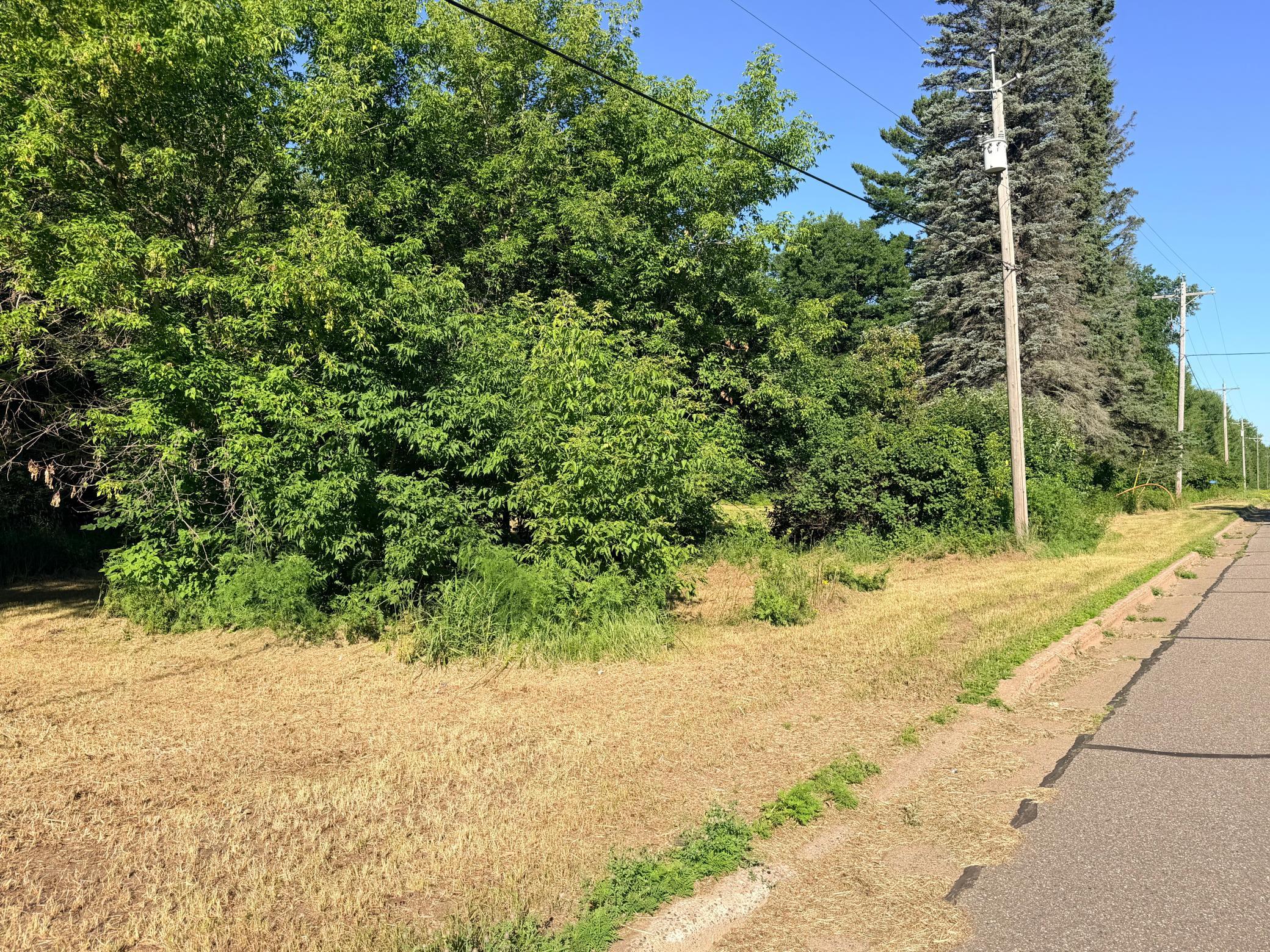 View of Land at 21623 County Road 28, Ironton MN 56455, Ironton (19 of 21) - Mike Wilen | Minnesota Team Real Estate