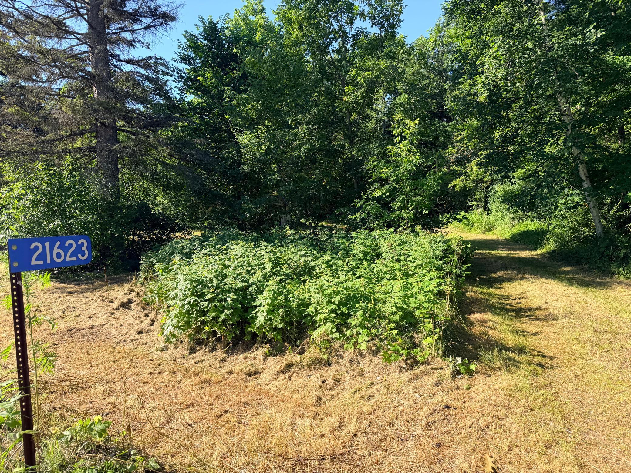 View of Land at 21623 County Road 28, Ironton MN 56455, Ironton (4 of 21) - Mike Wilen | Minnesota Team Real Estate