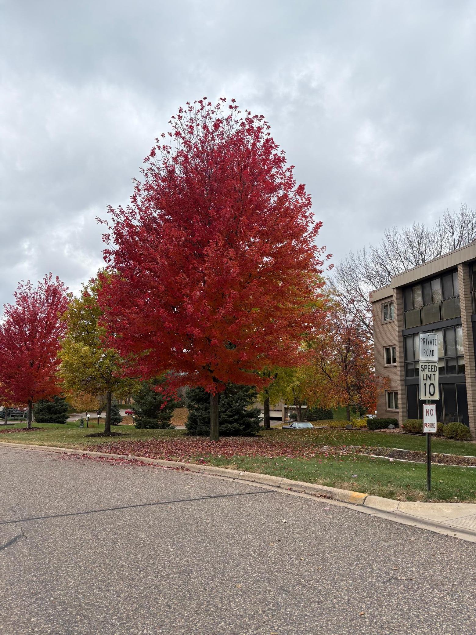 View of Residential at 4350 Brookside Court #302, Edina MN 55436, Edina - Mike Wilen | Minnesota Team Real Estate