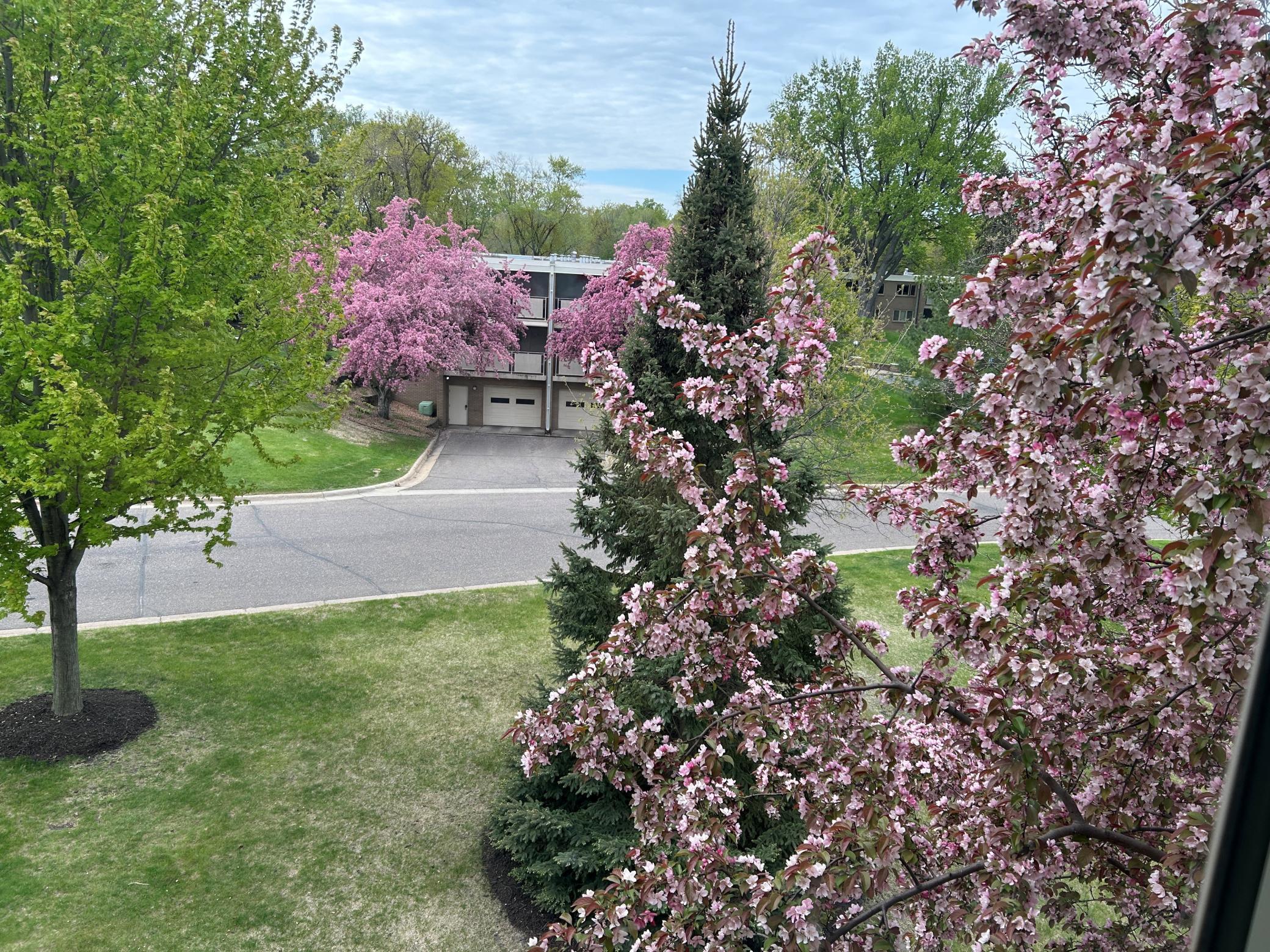 View of Residential at 4350 Brookside Court #302, Edina MN 55436, Edina (40 of 46) - Mike Wilen | Minnesota Team Real Estate