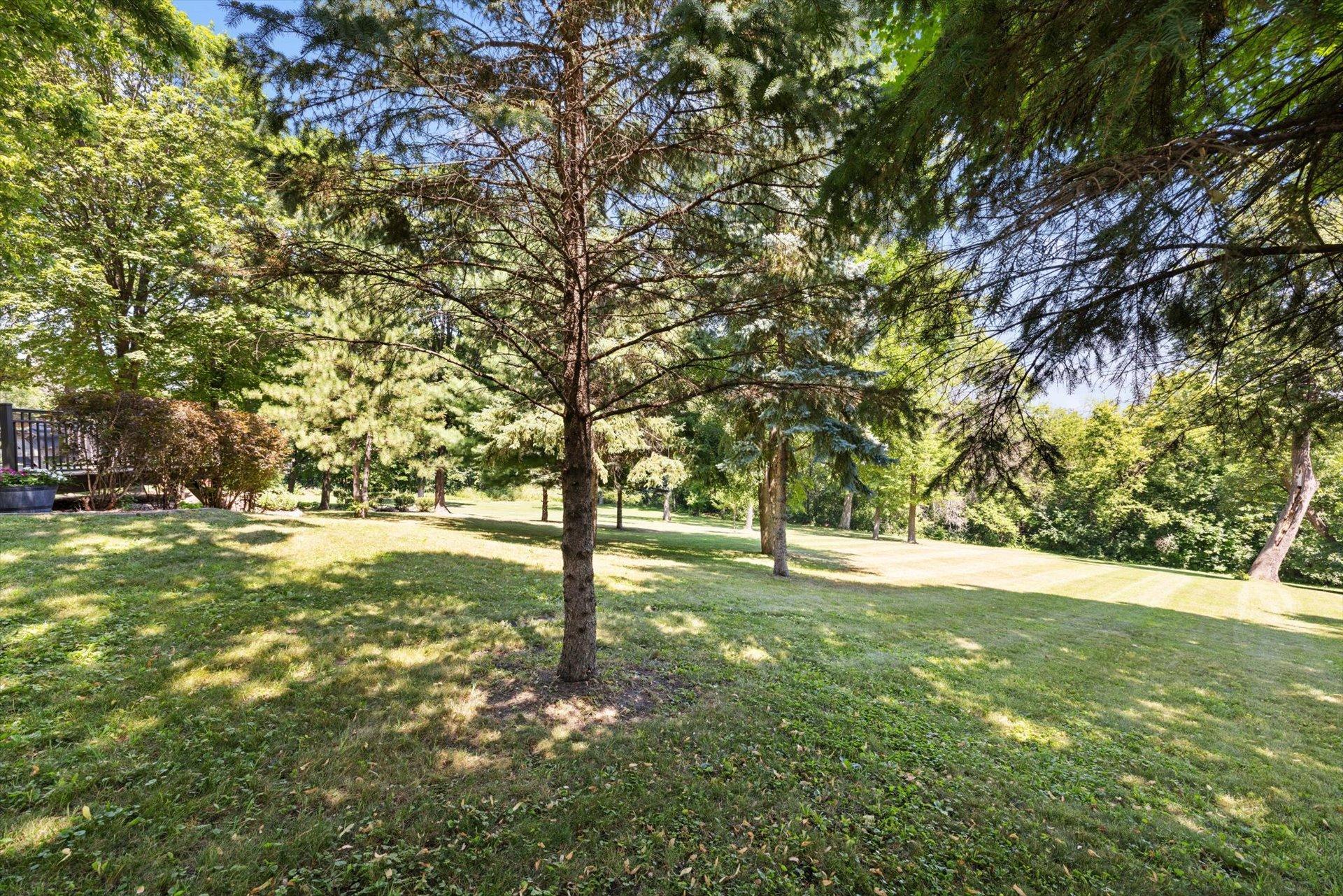 View of Residential at 612 Nelson Road, Independence MN 55359, Independence (67 of 86) - Mike Wilen | Minnesota Team Real Estate