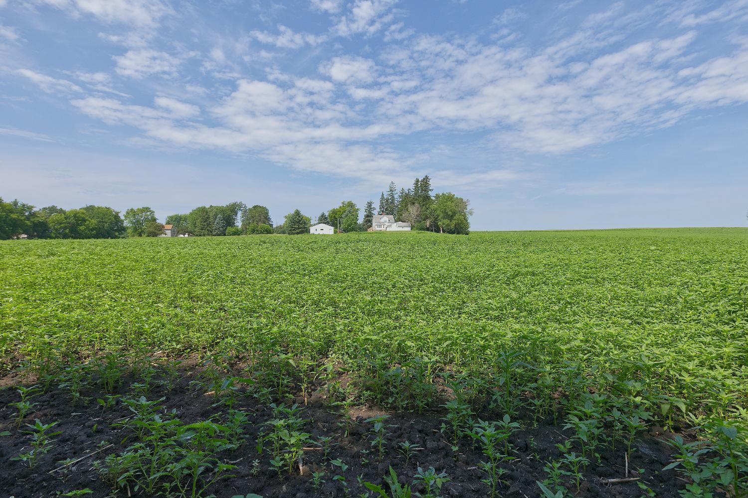 View of Residential at 8412 Ingram Avenue, Howard Lake MN 55349, Howard Lake (65 of 87) - Mike Wilen | Minnesota Team Real Estate