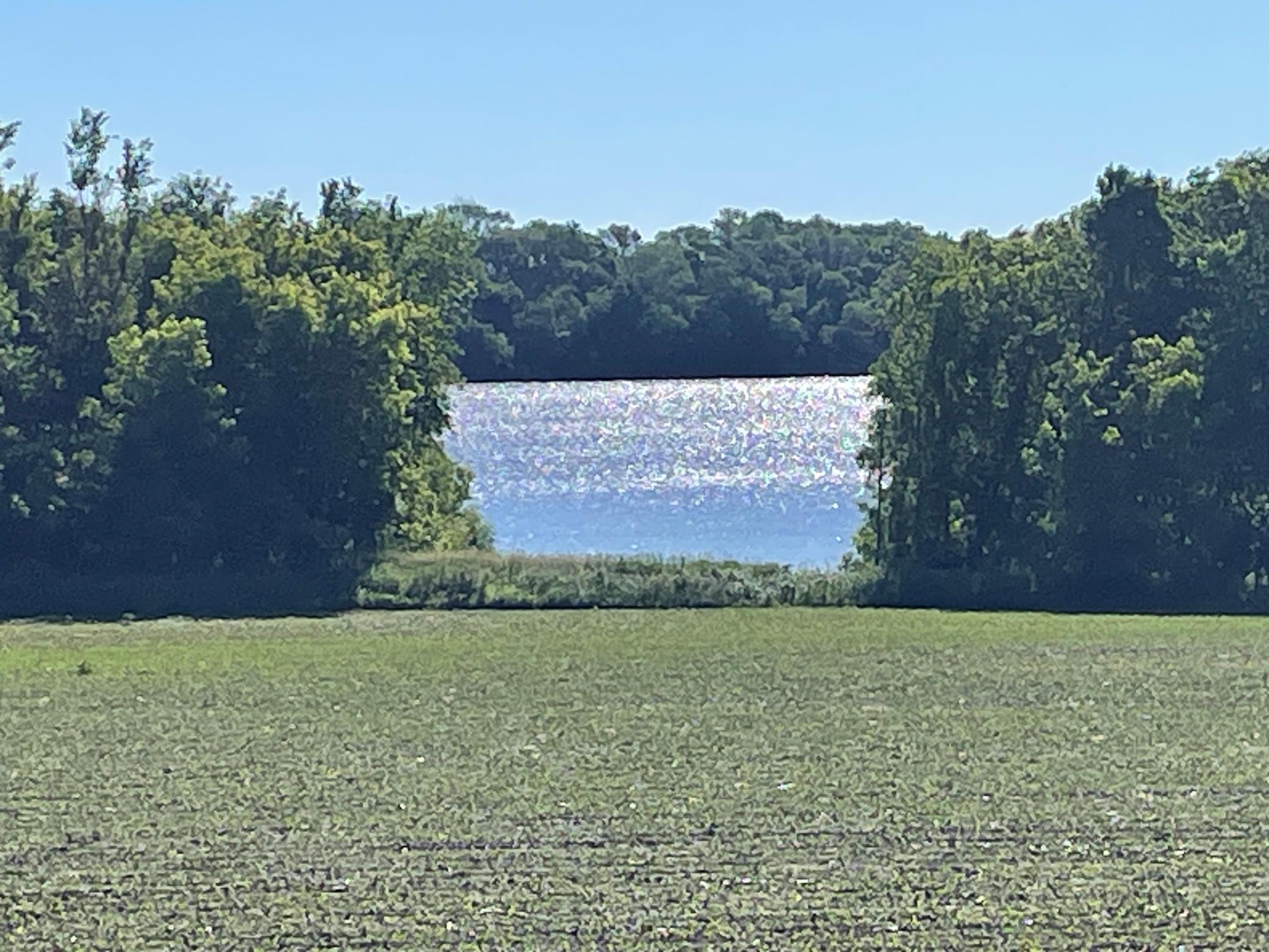 View of Residential at 8412 Ingram Avenue, Howard Lake MN 55349, Howard Lake (82 of 87) - Mike Wilen | Minnesota Team Real Estate