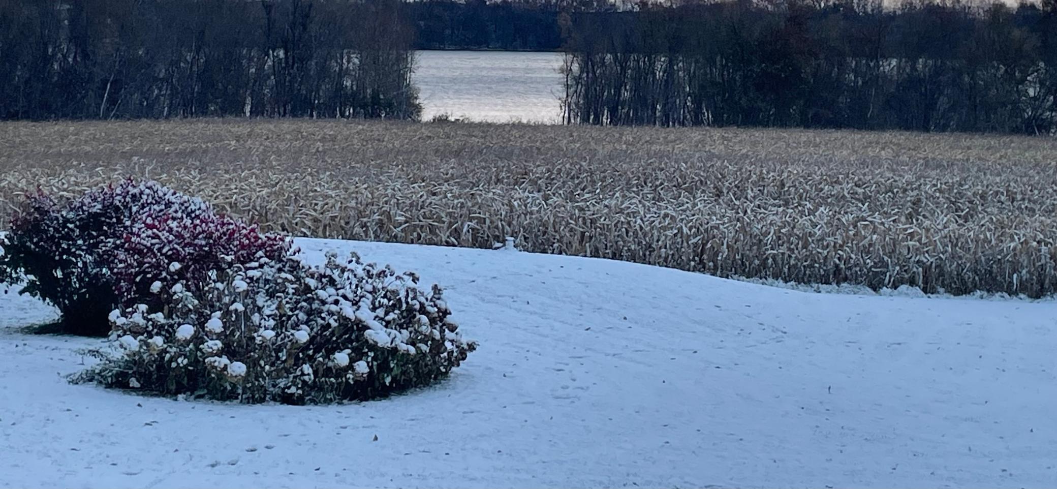 View of Residential at 8412 Ingram Avenue, Howard Lake MN 55349, Howard Lake (81 of 87) - Mike Wilen | Minnesota Team Real Estate