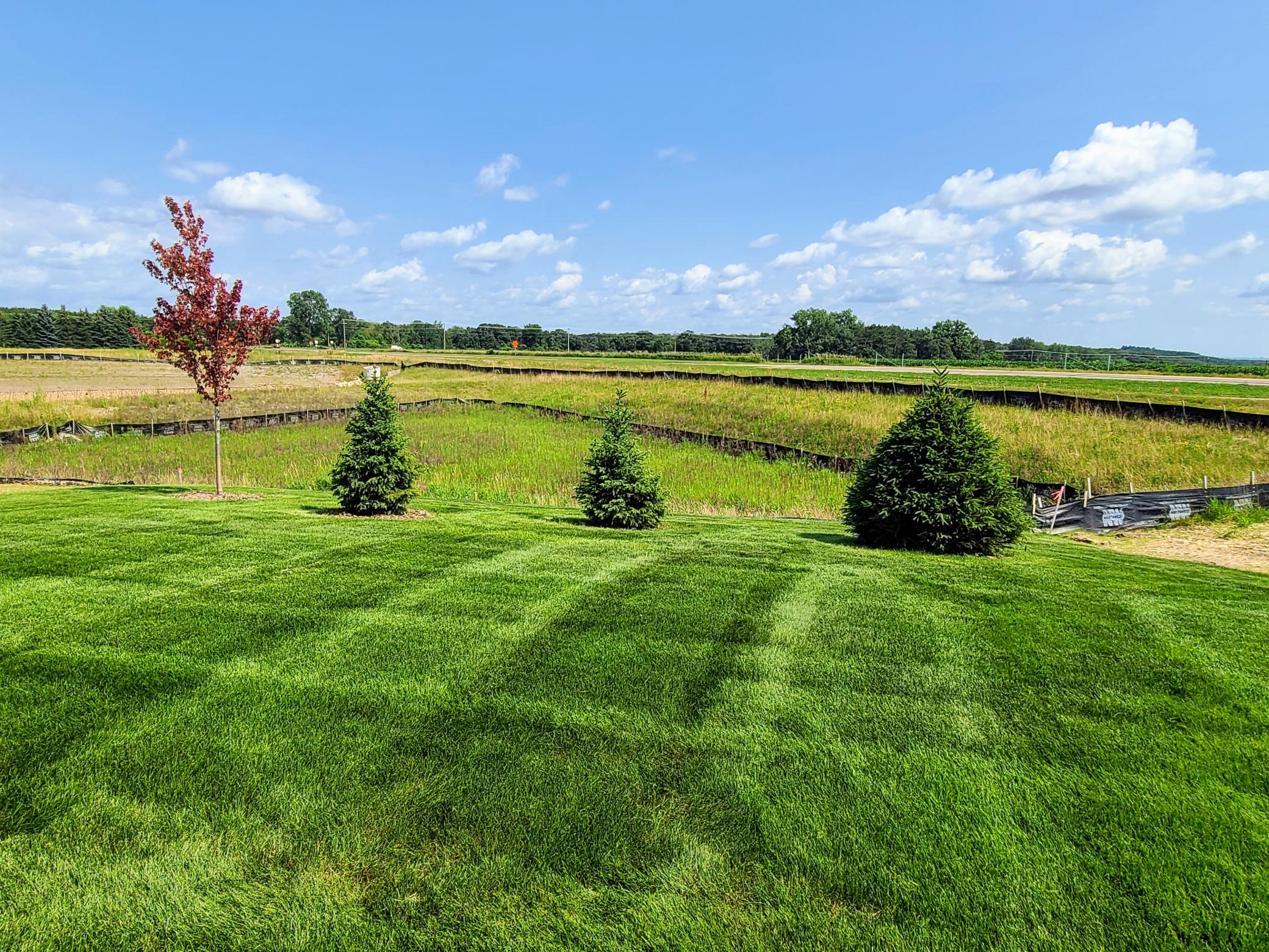 View of Residential at 8963 Joliet Avenue, Cottage Grove MN 55016, Cottage Grove (36 of 63) - Mike Wilen | Minnesota Team Real Estate