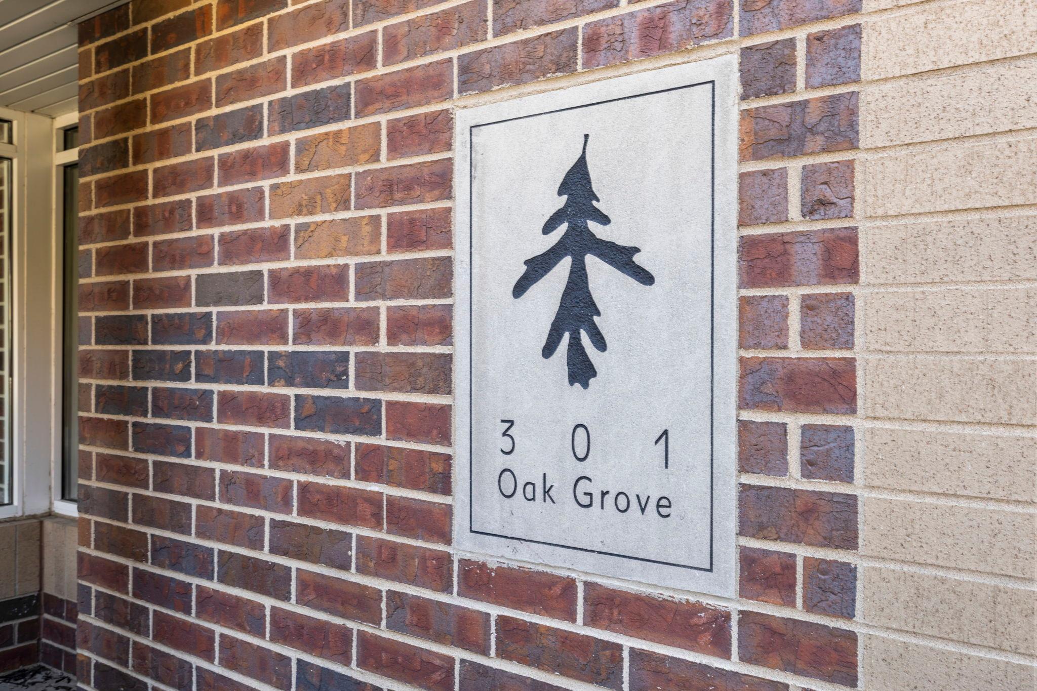 View of Residential at 301 Oak Grove Street #308, Minneapolis MN 55403, Minneapolis (6 of 44) - Mike Wilen | Minnesota Team Real Estate