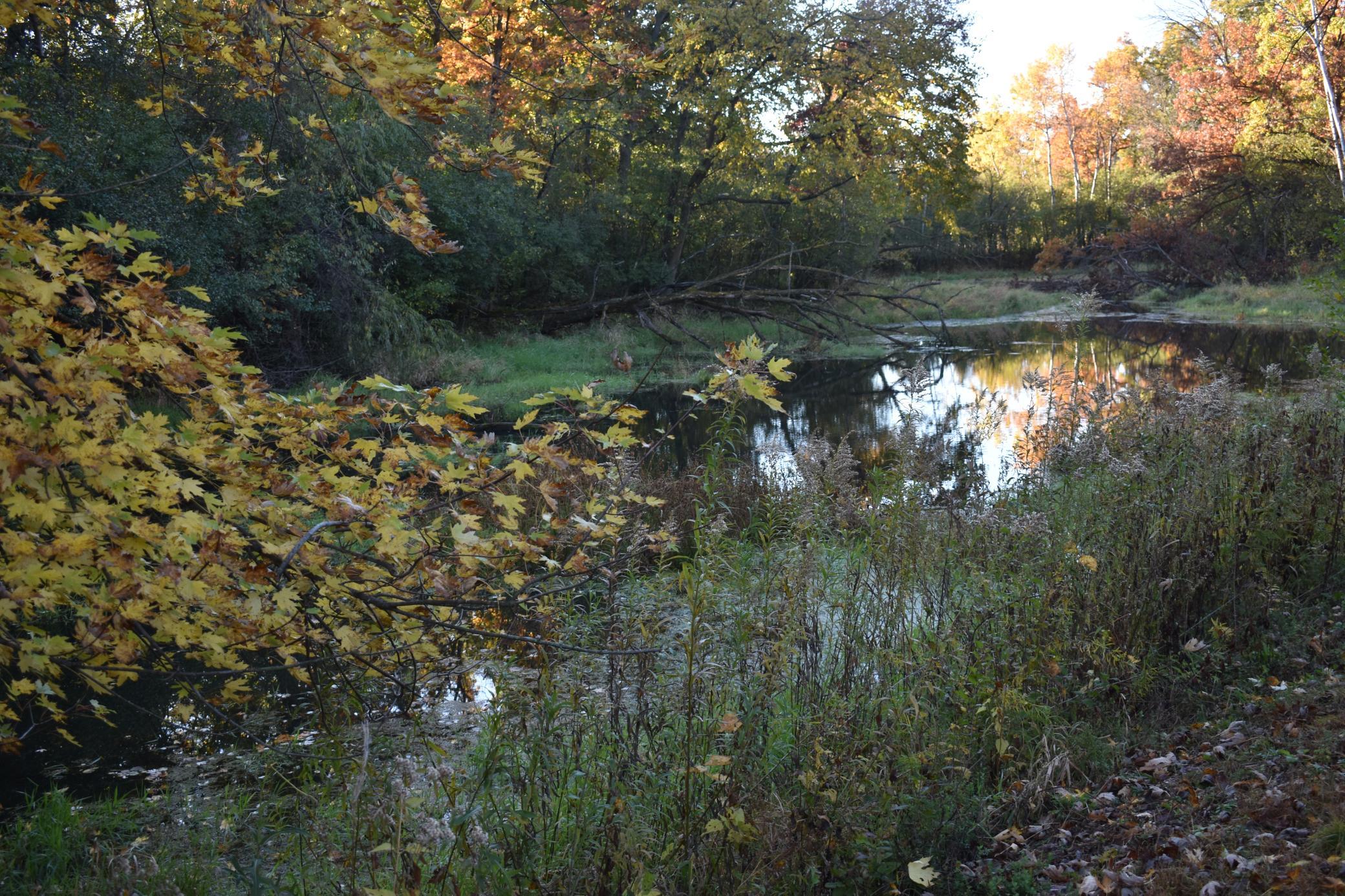 View of Land at 5470 Rowland Road, Hopkins MN 55343, Hopkins - Mike Wilen | Minnesota Team Real Estate