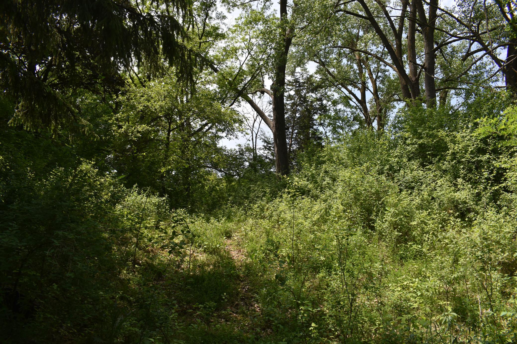 View of Land at 5470 Rowland Road, Hopkins MN 55343, Hopkins (7 of 12) - Mike Wilen | Minnesota Team Real Estate