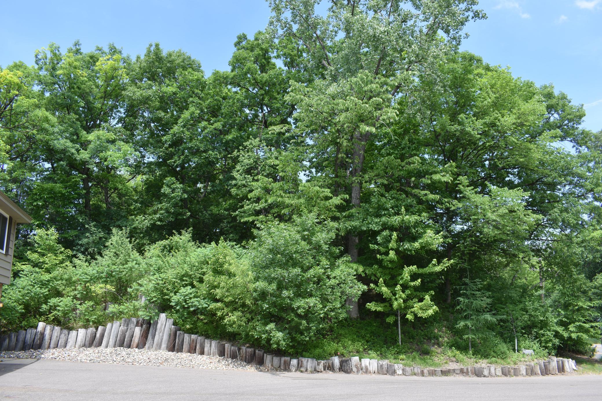 View of Land at 5470 Rowland Road, Hopkins MN 55343, Hopkins (10 of 12) - Mike Wilen | Minnesota Team Real Estate