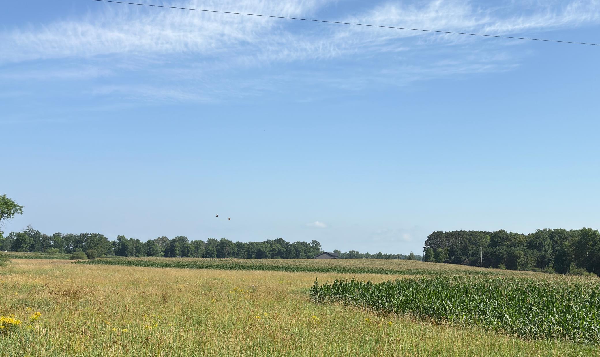 View of Land at 19285 90th Avenue, Milaca MN 56353, Milaca - Mike Wilen | Minnesota Team Real Estate