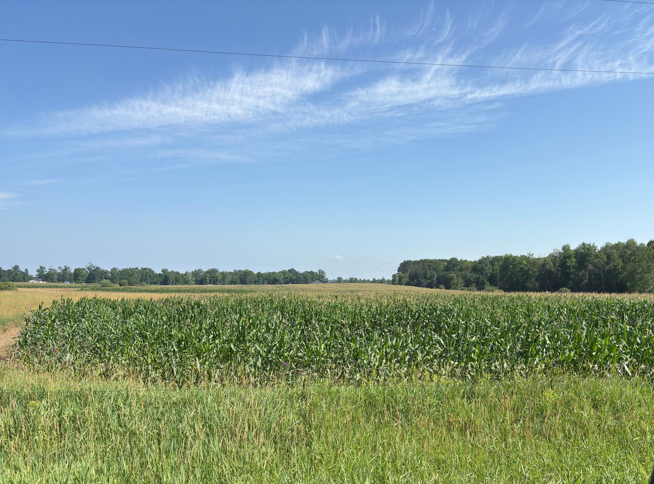 View of Land at 19285 90th Avenue, Milaca MN 56353, Milaca (3 of 5) - Mike Wilen | Minnesota Team Real Estate