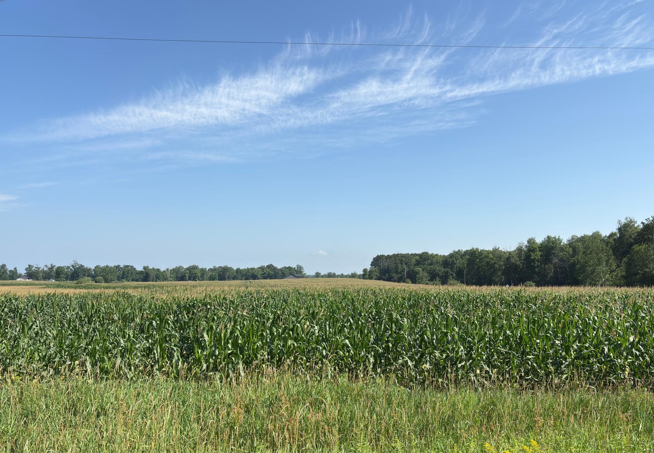 View of Land at 19285 90th Avenue, Milaca MN 56353, Milaca (2 of 5) - Mike Wilen | Minnesota Team Real Estate